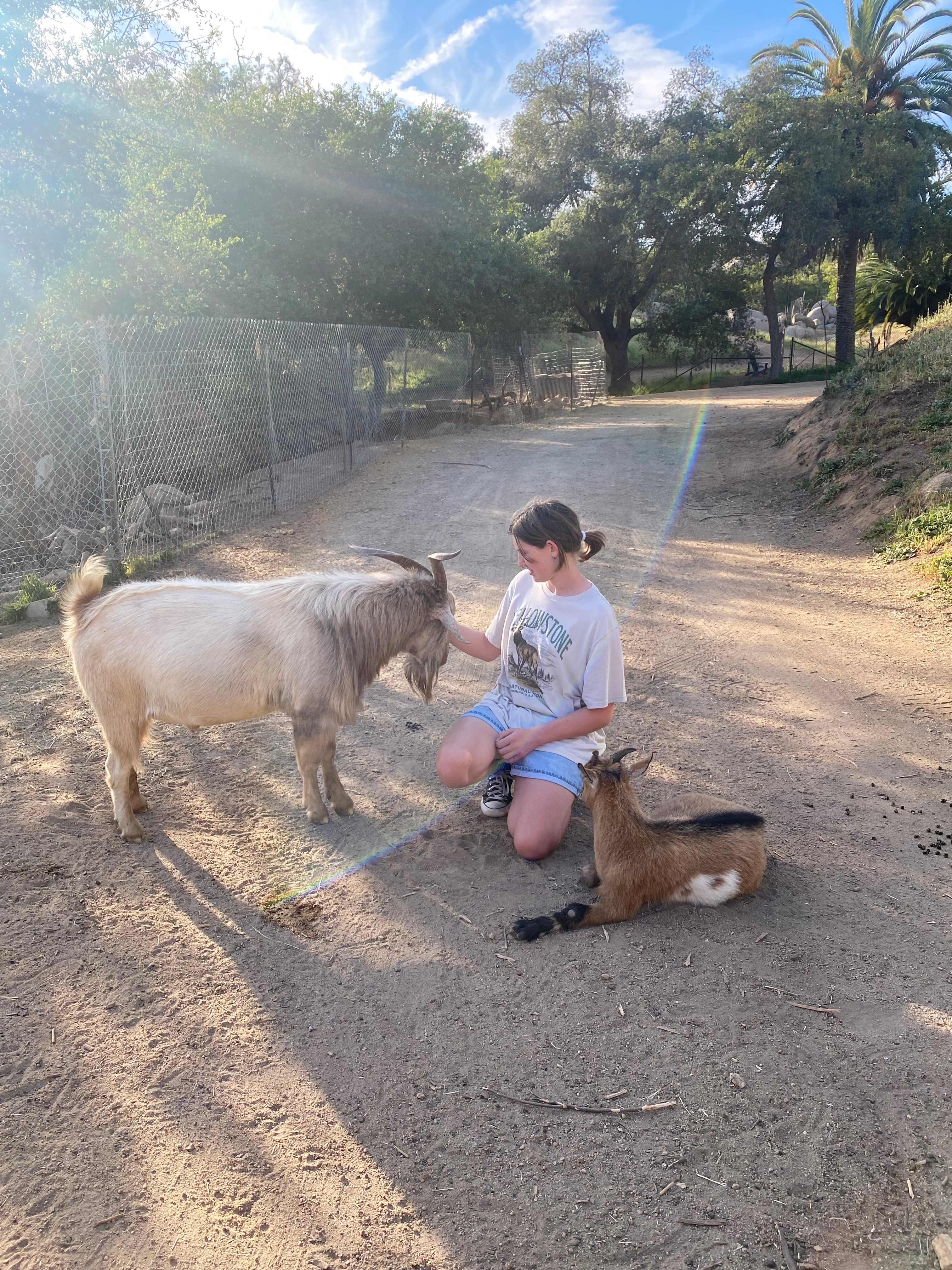 Splitrock Farm and Retreat