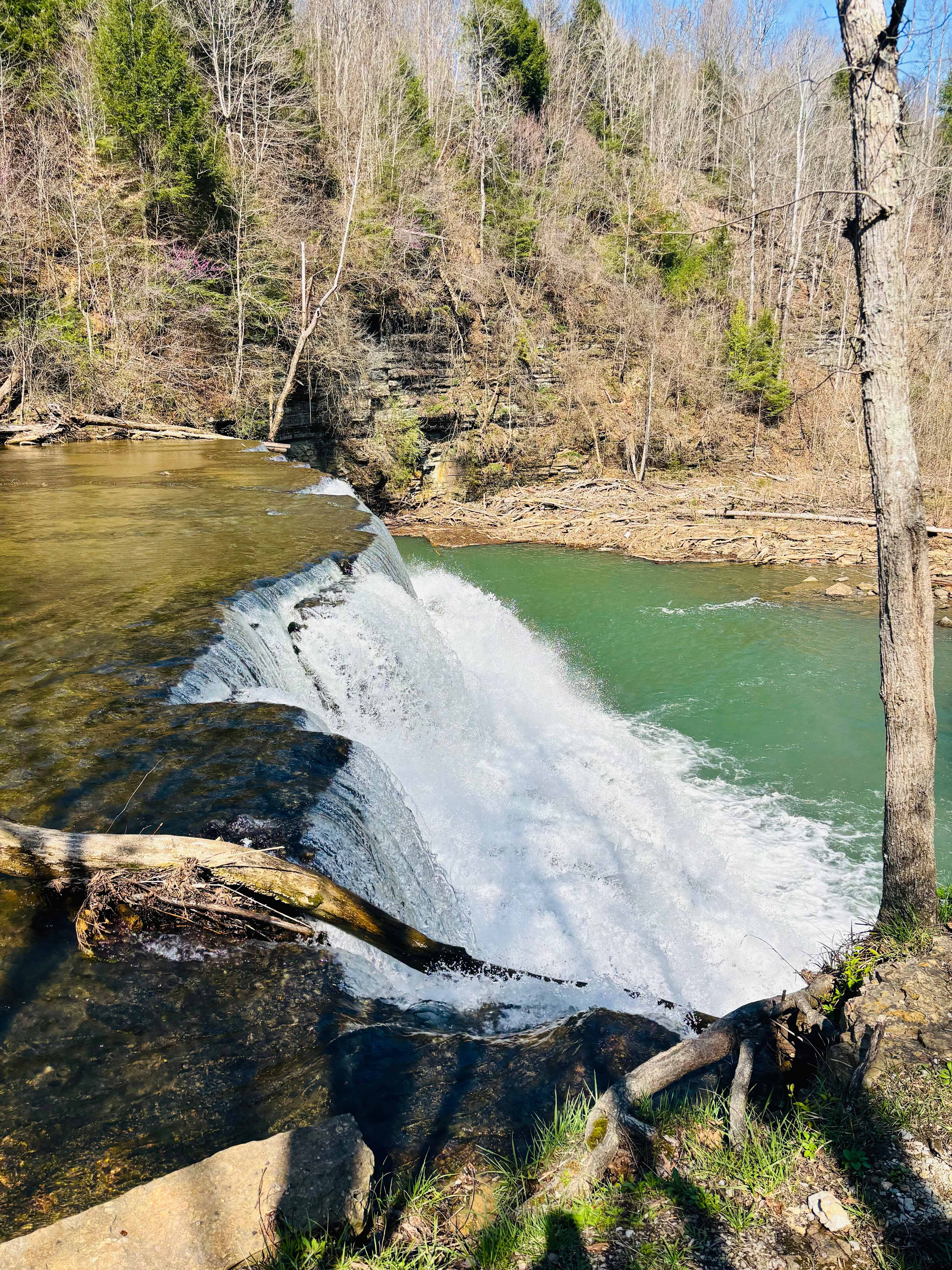 Waterloo Falls