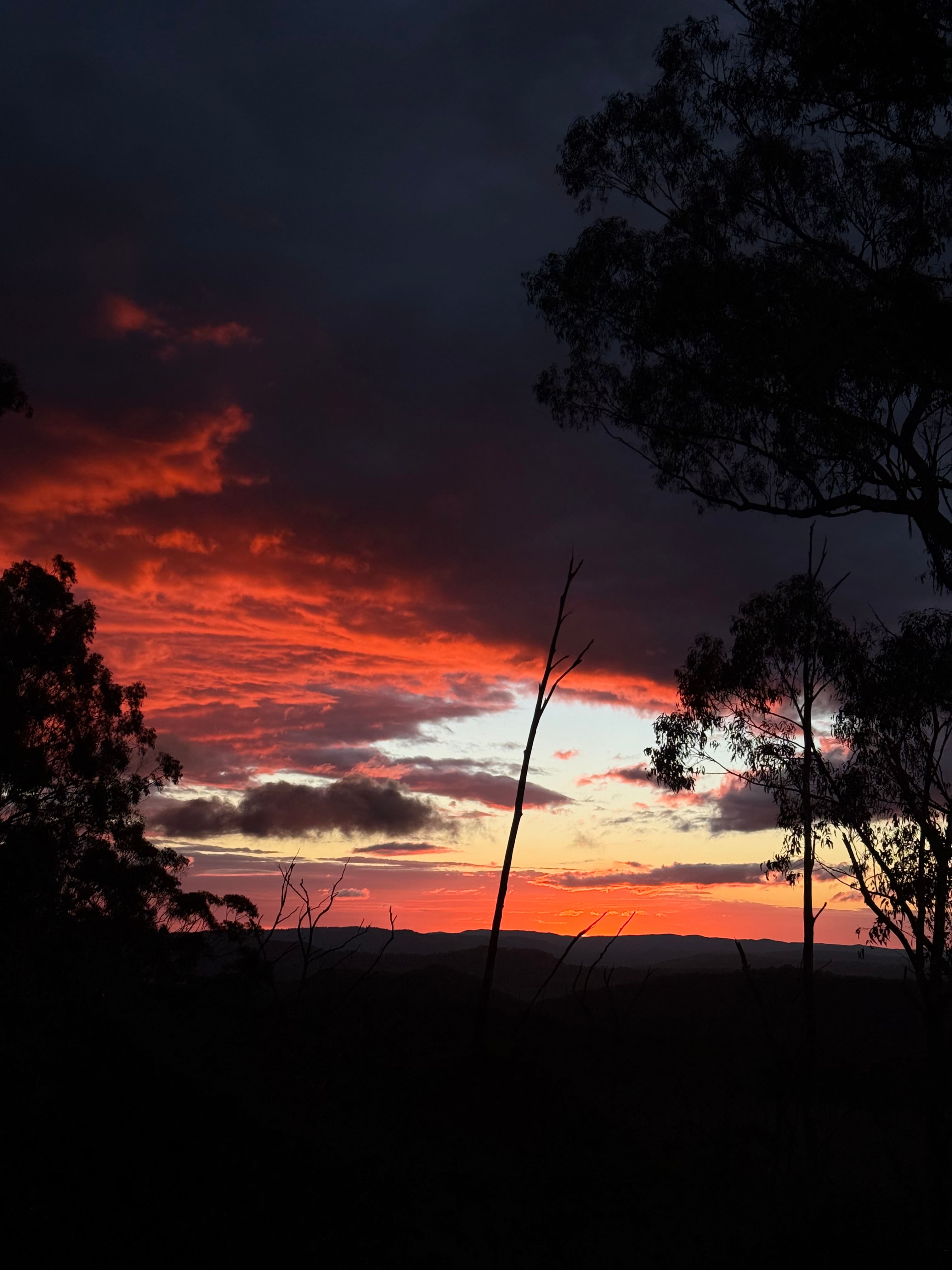 BAJIMBA Eco Camping and Farm Stay