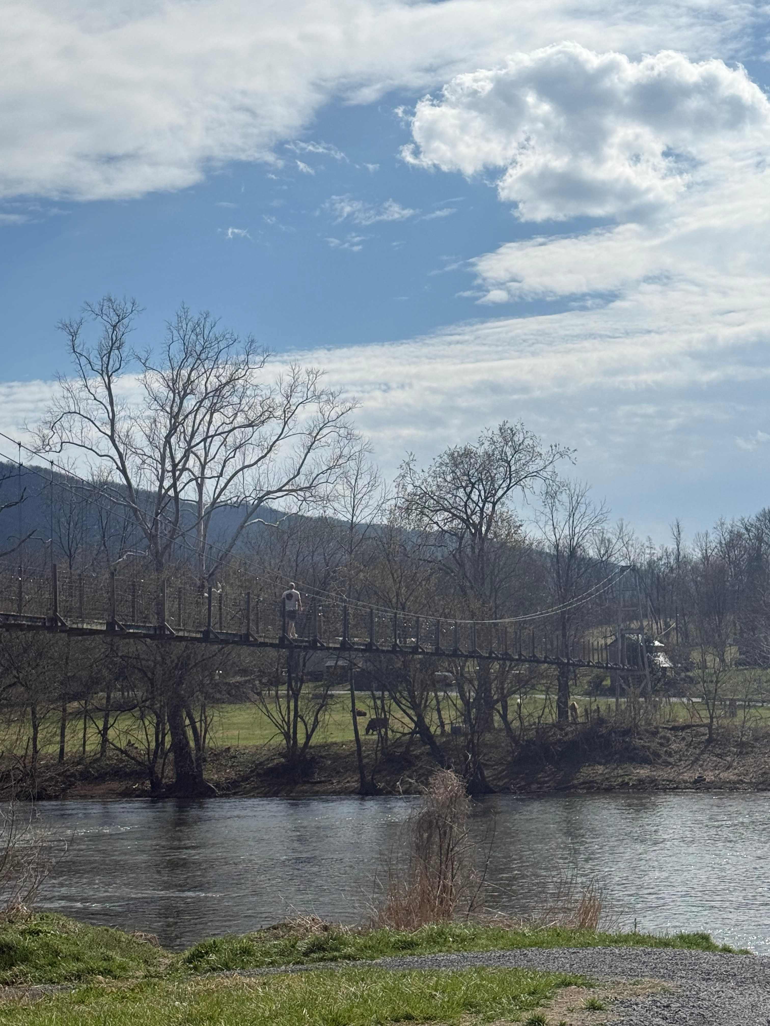 On the other side of the river from the camp site 