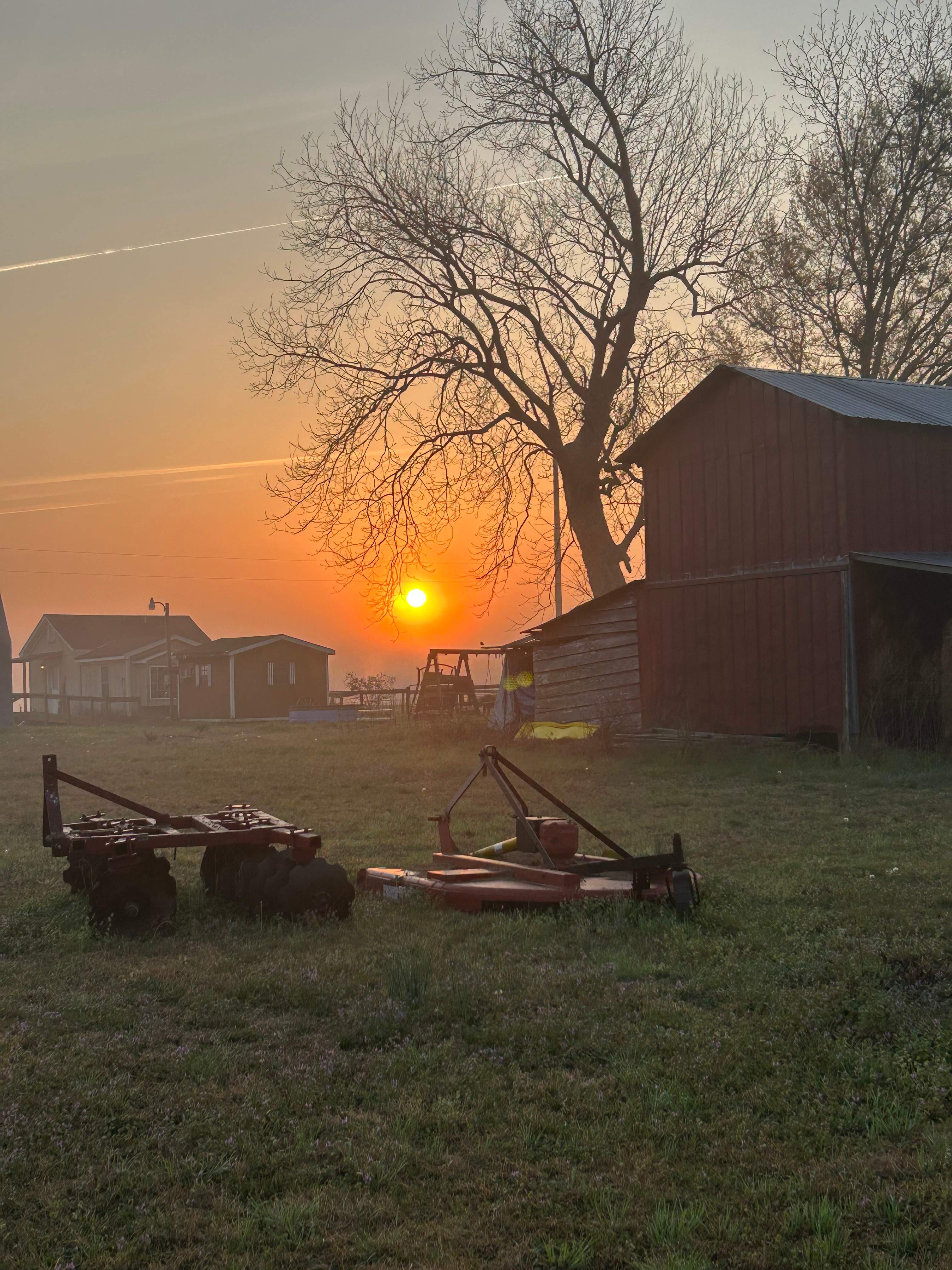 Bright Star Farm