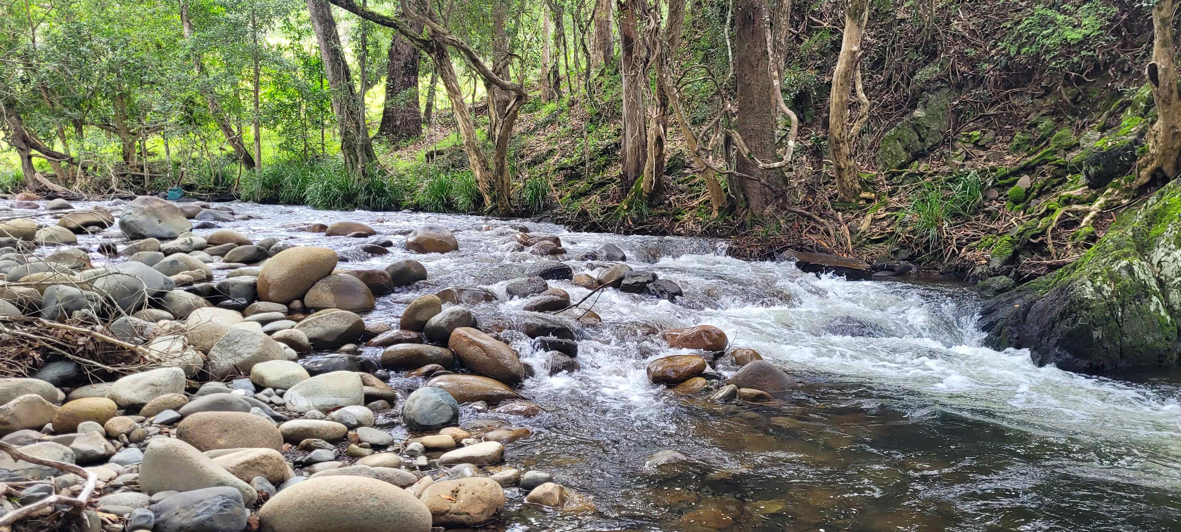 River Front Campsites