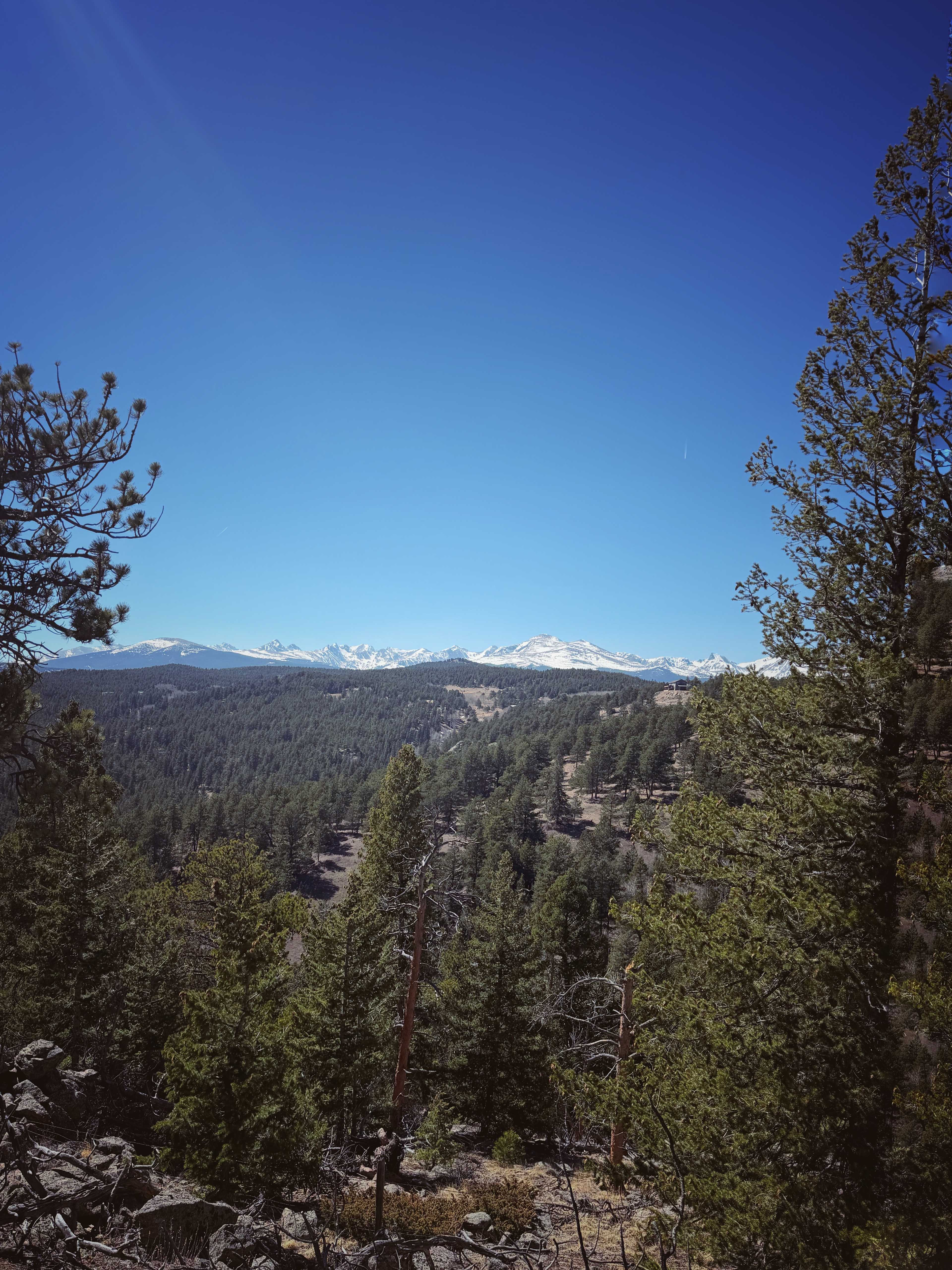 The Bluebear at Y Double-K Ranch