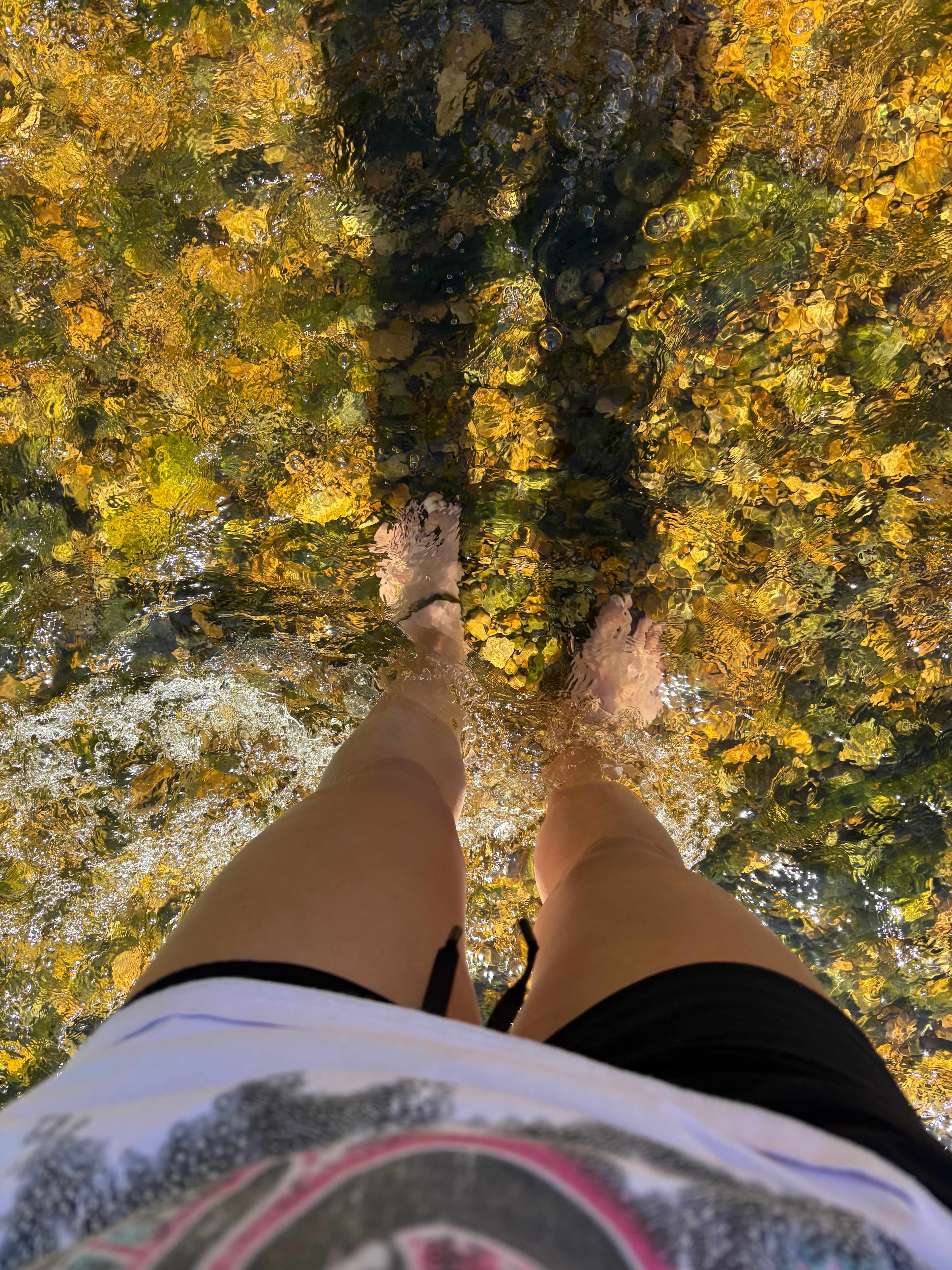 P² Farm | Scenic River Camping