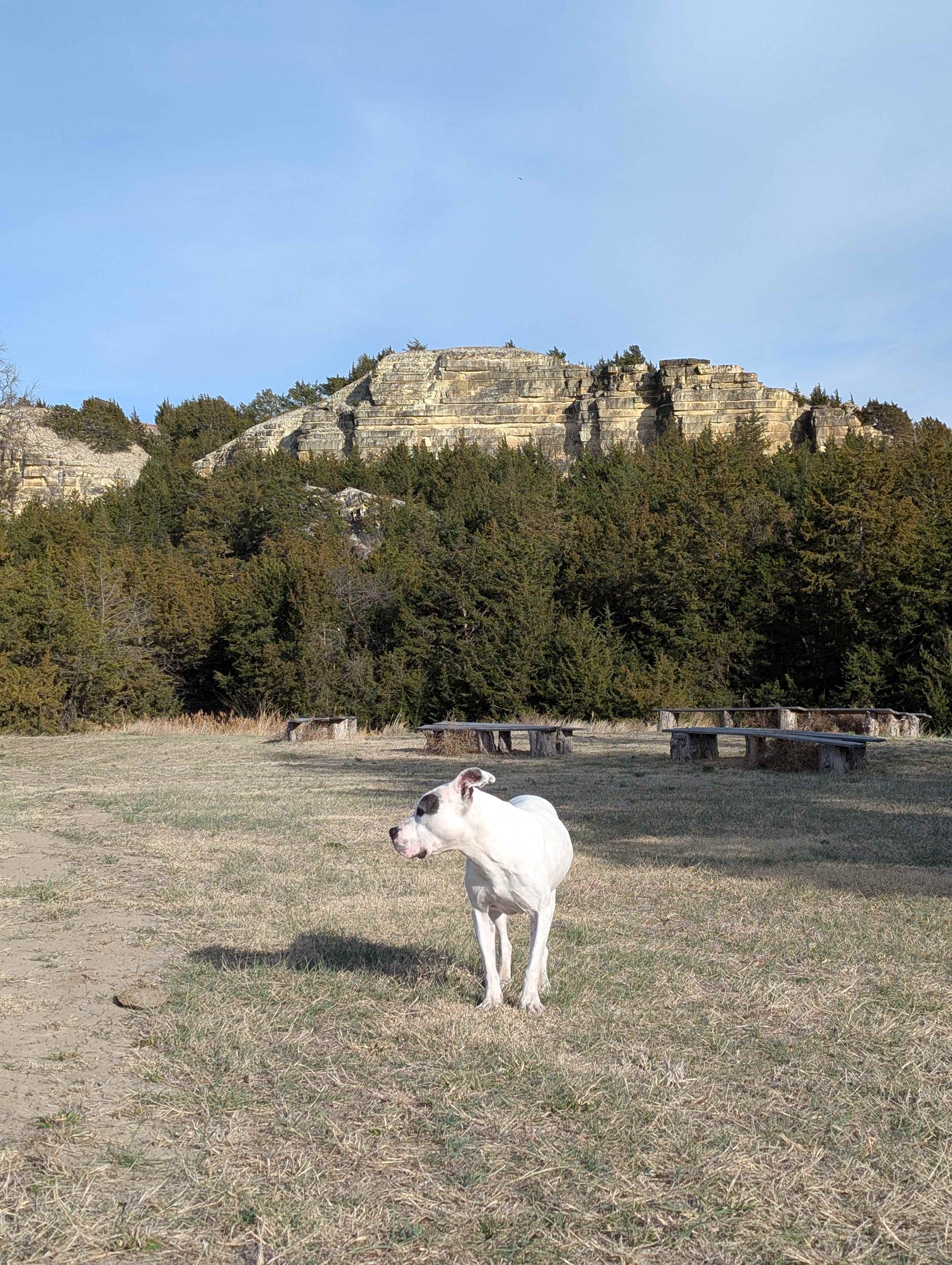C2T Ranch on the Saline River