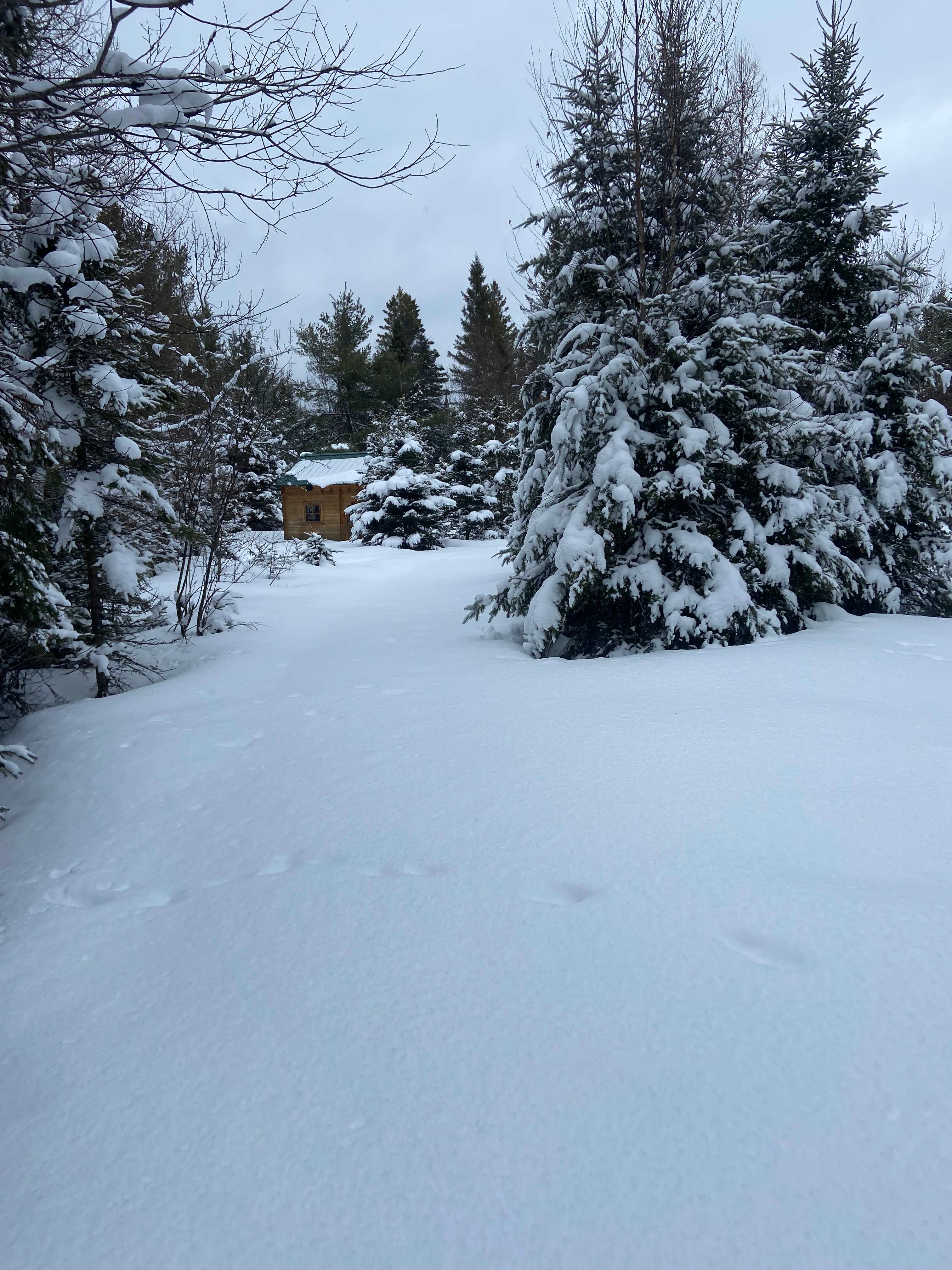 Highland Farms N Stables