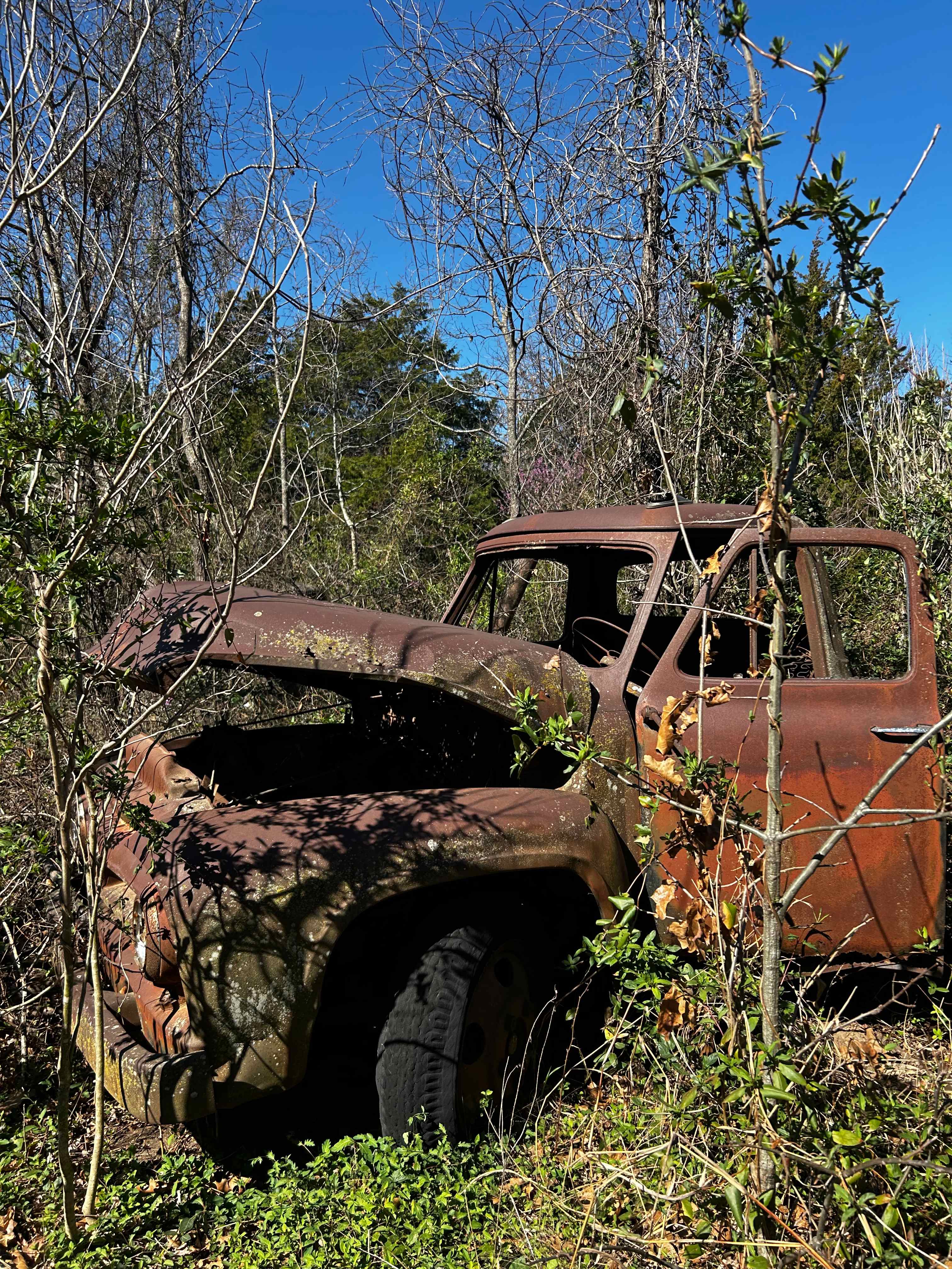 Eagle Mountain View Campground