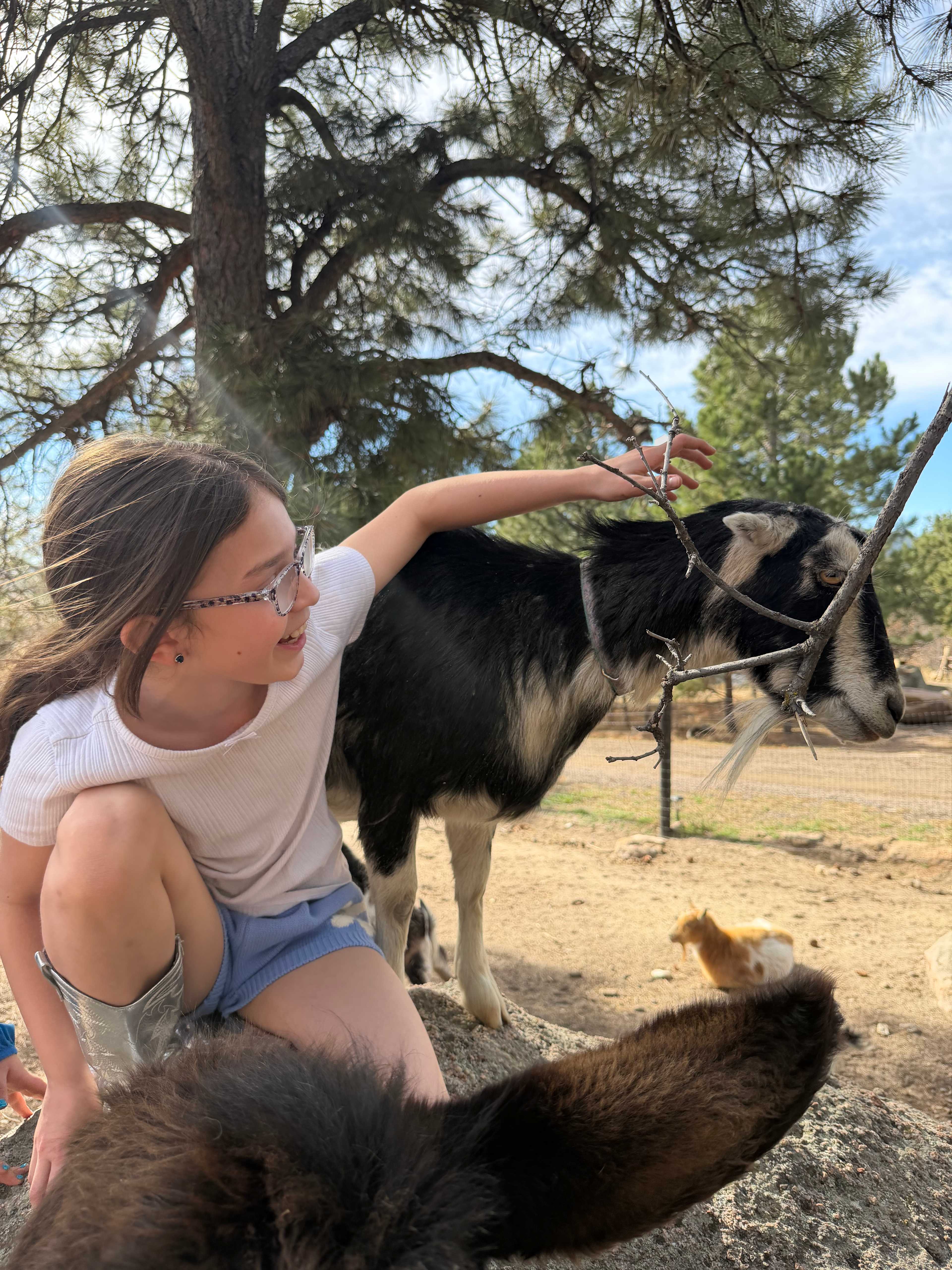 Standiford Goat and Equine Ranch