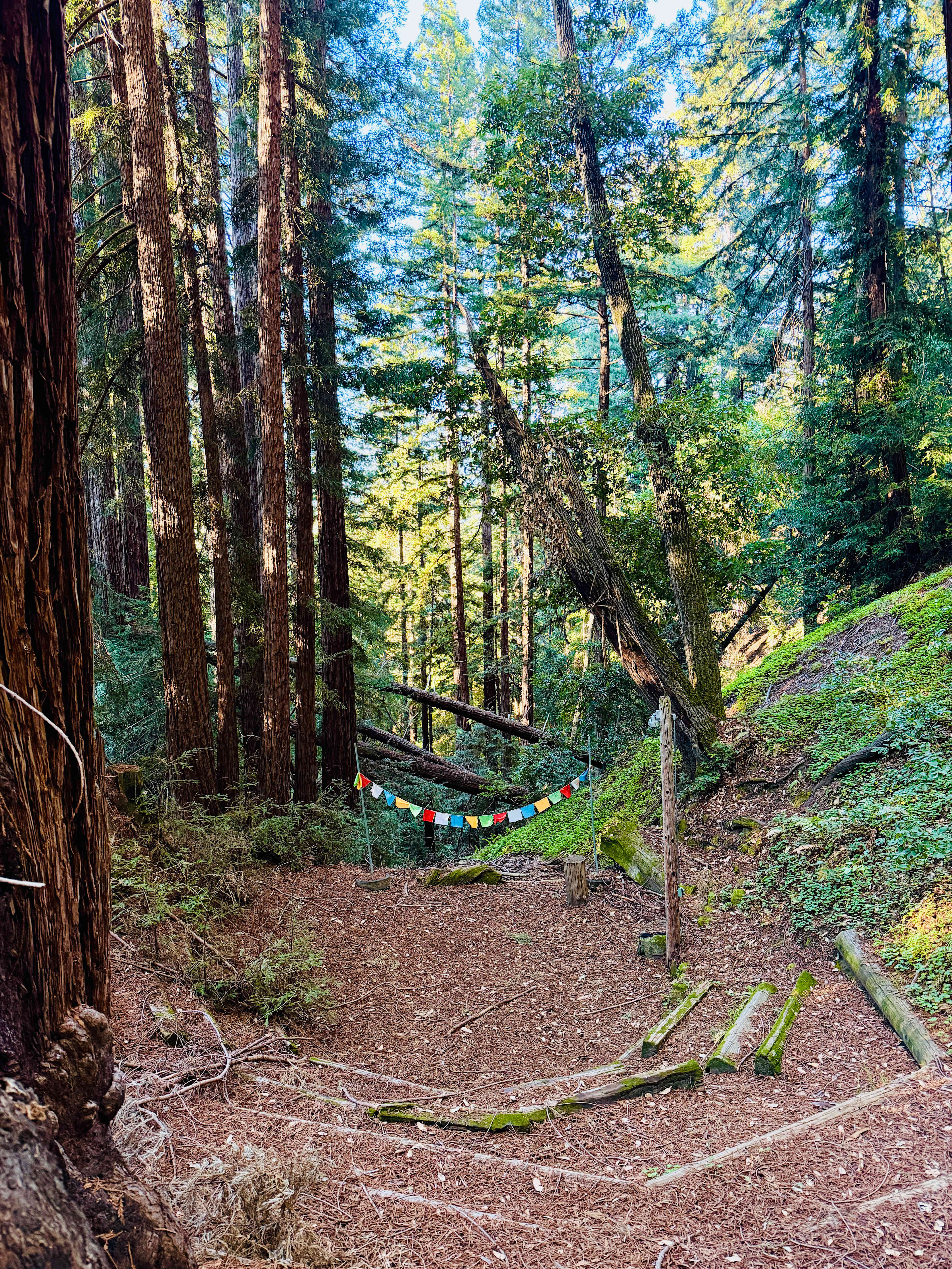 Amaya Creek Redwood Campground