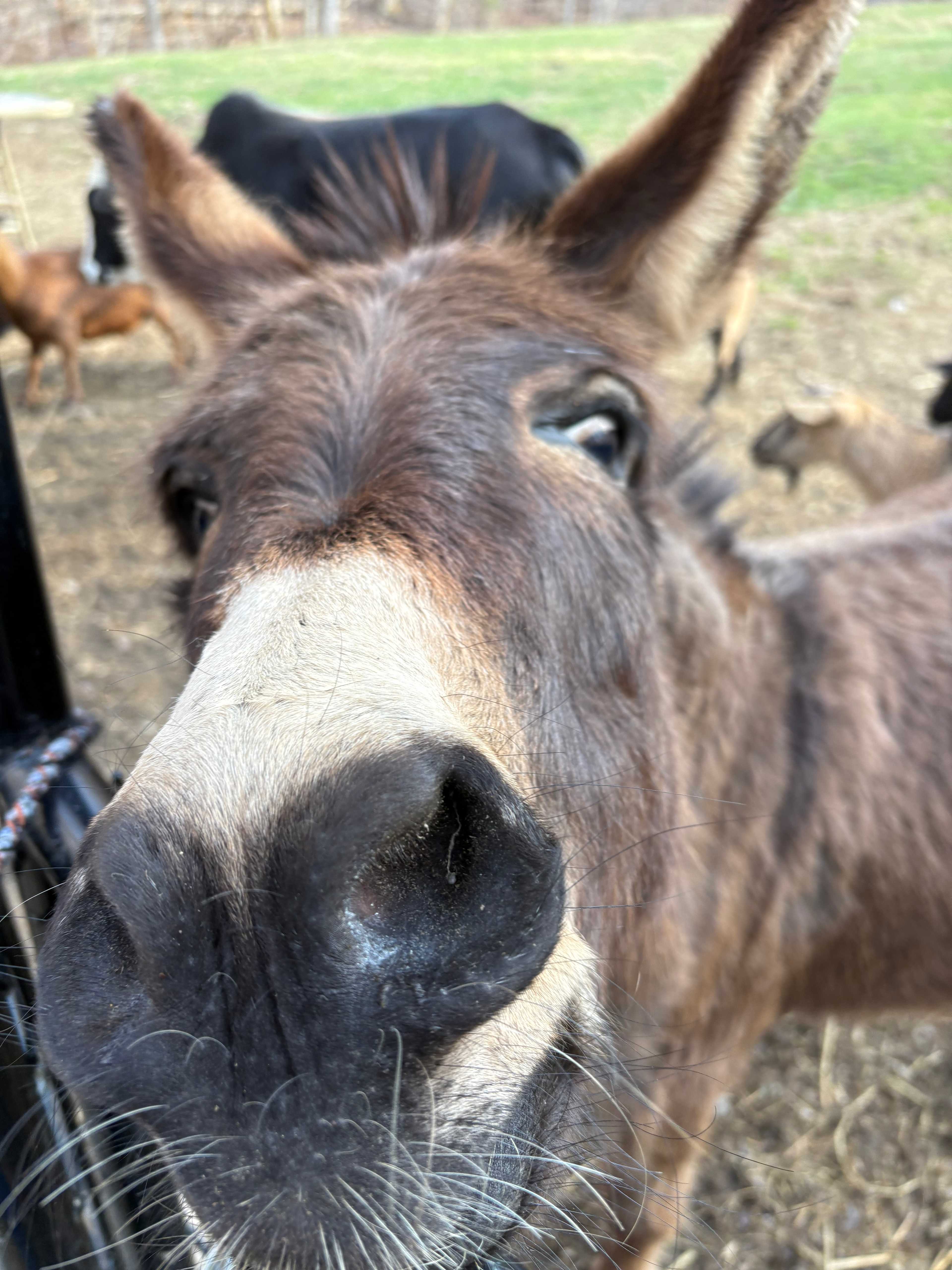 Watercress Inn at Landon Farm