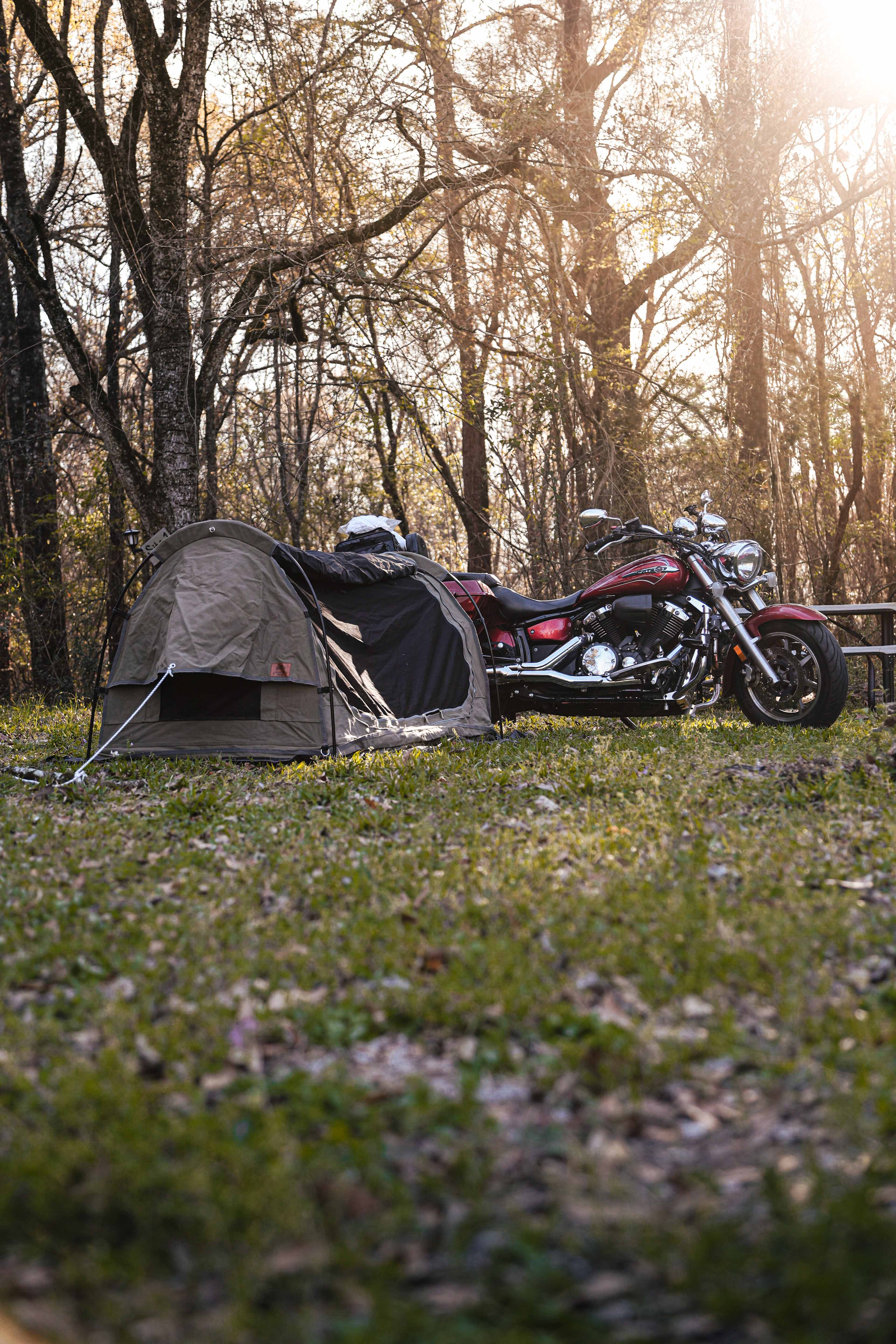 The Pecan Orchard CampGrounds