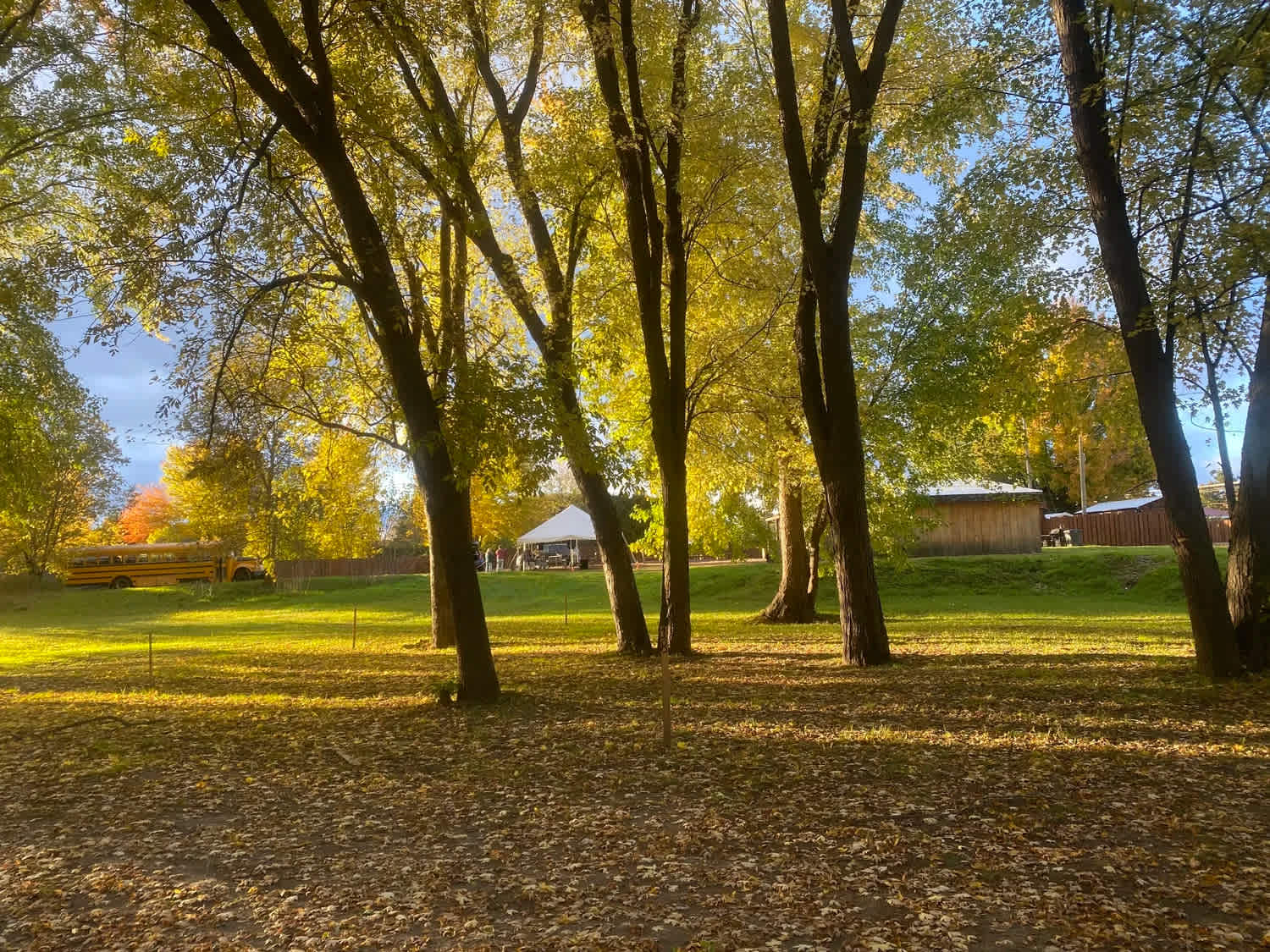 Picture of the site