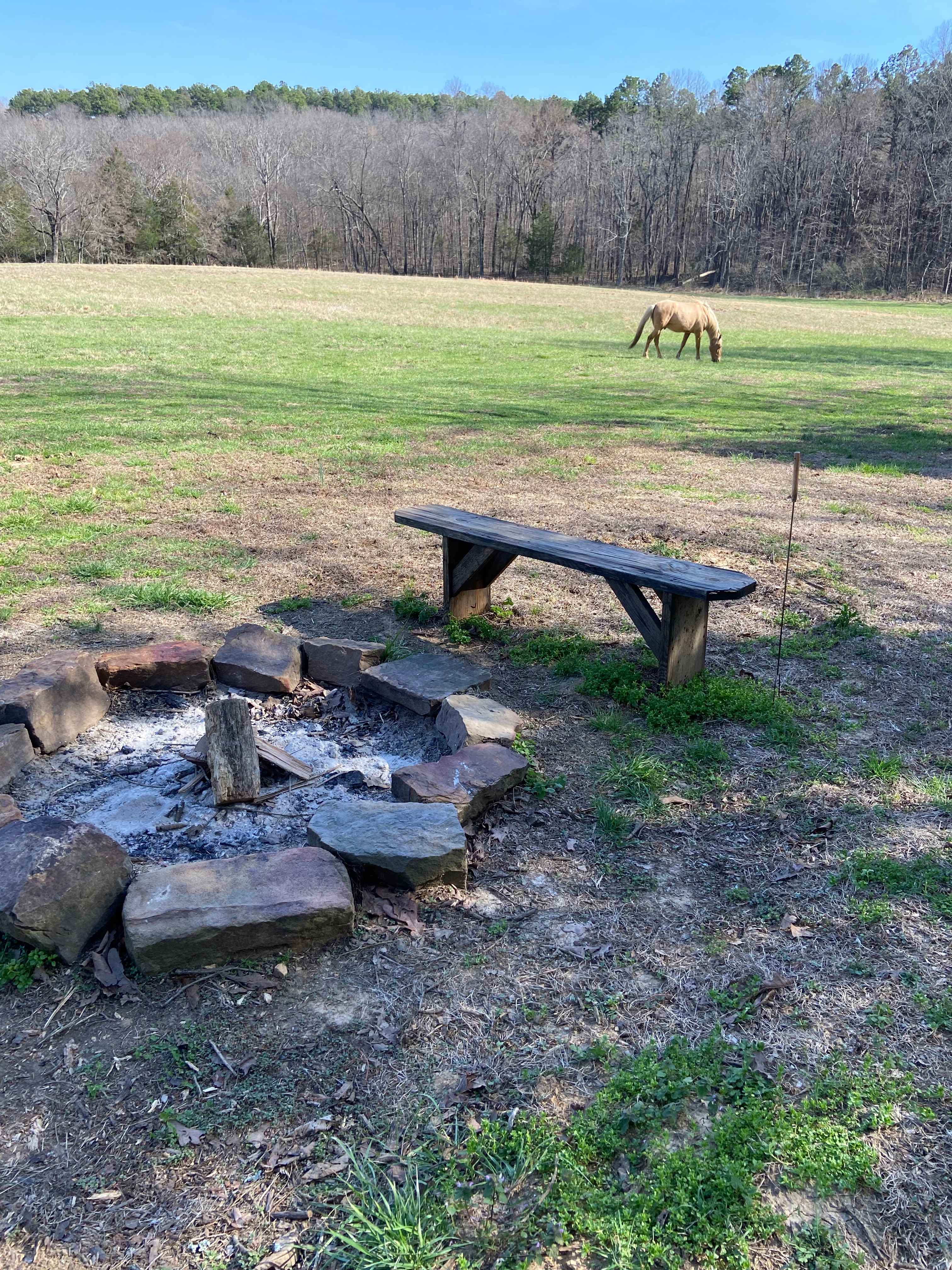 Fullerosa Horseback And Hunting