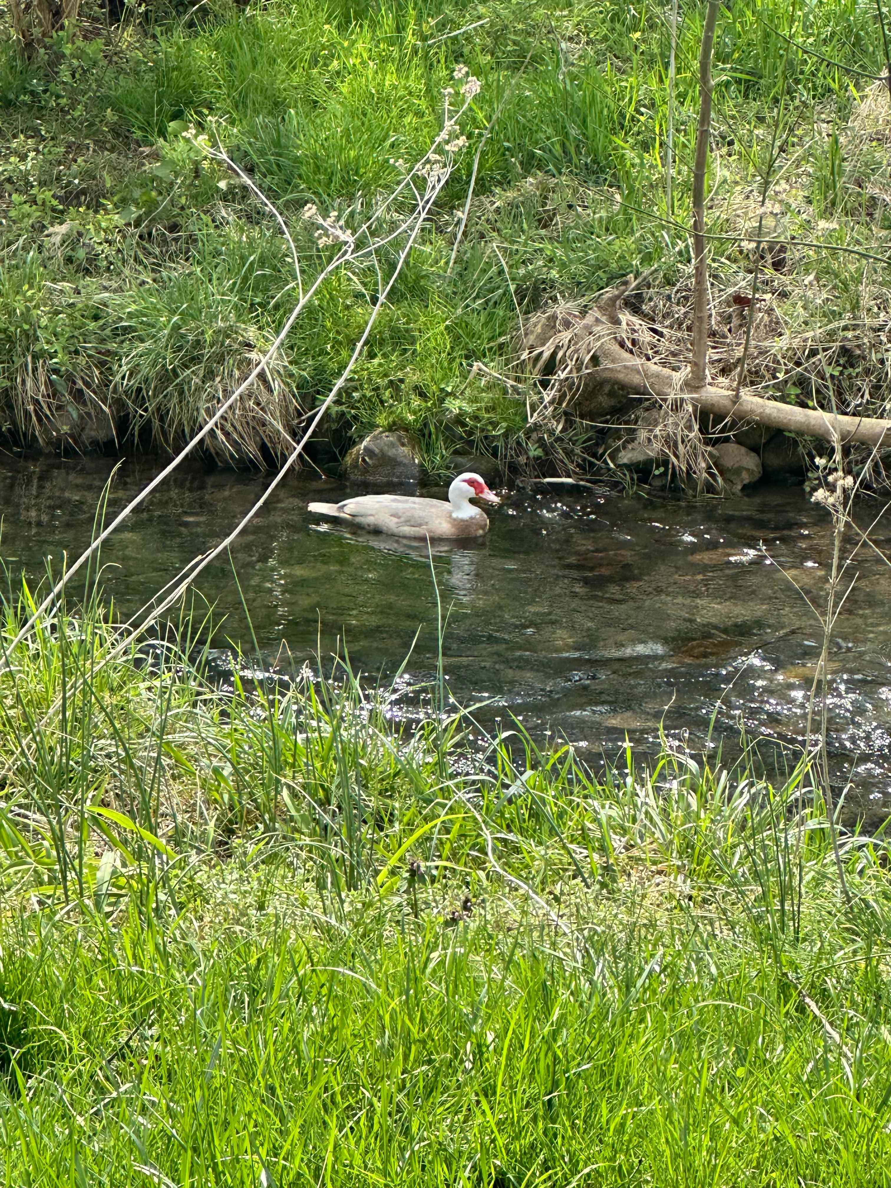 Farmhouse Gallery & Gardens