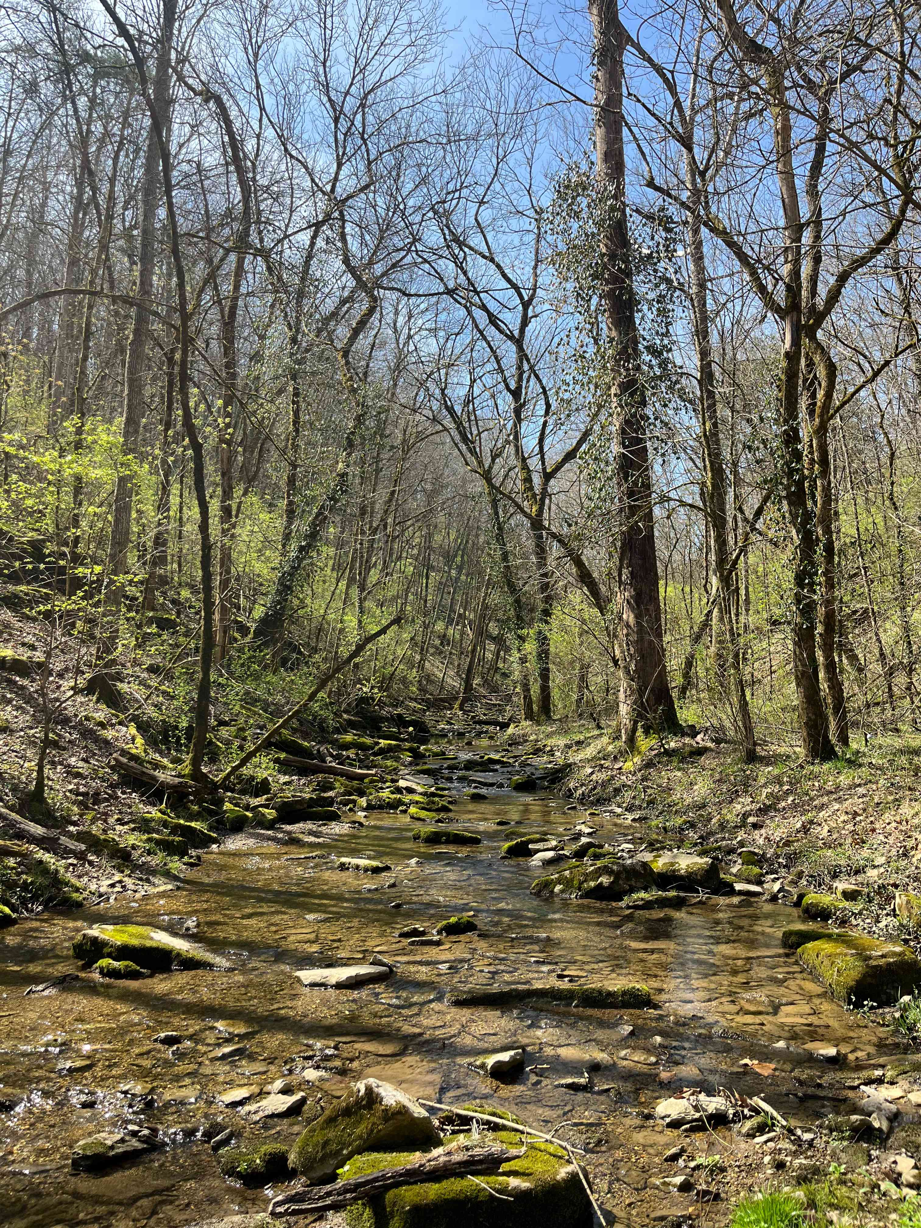 Wildcat Creek Farm in Tyrone
