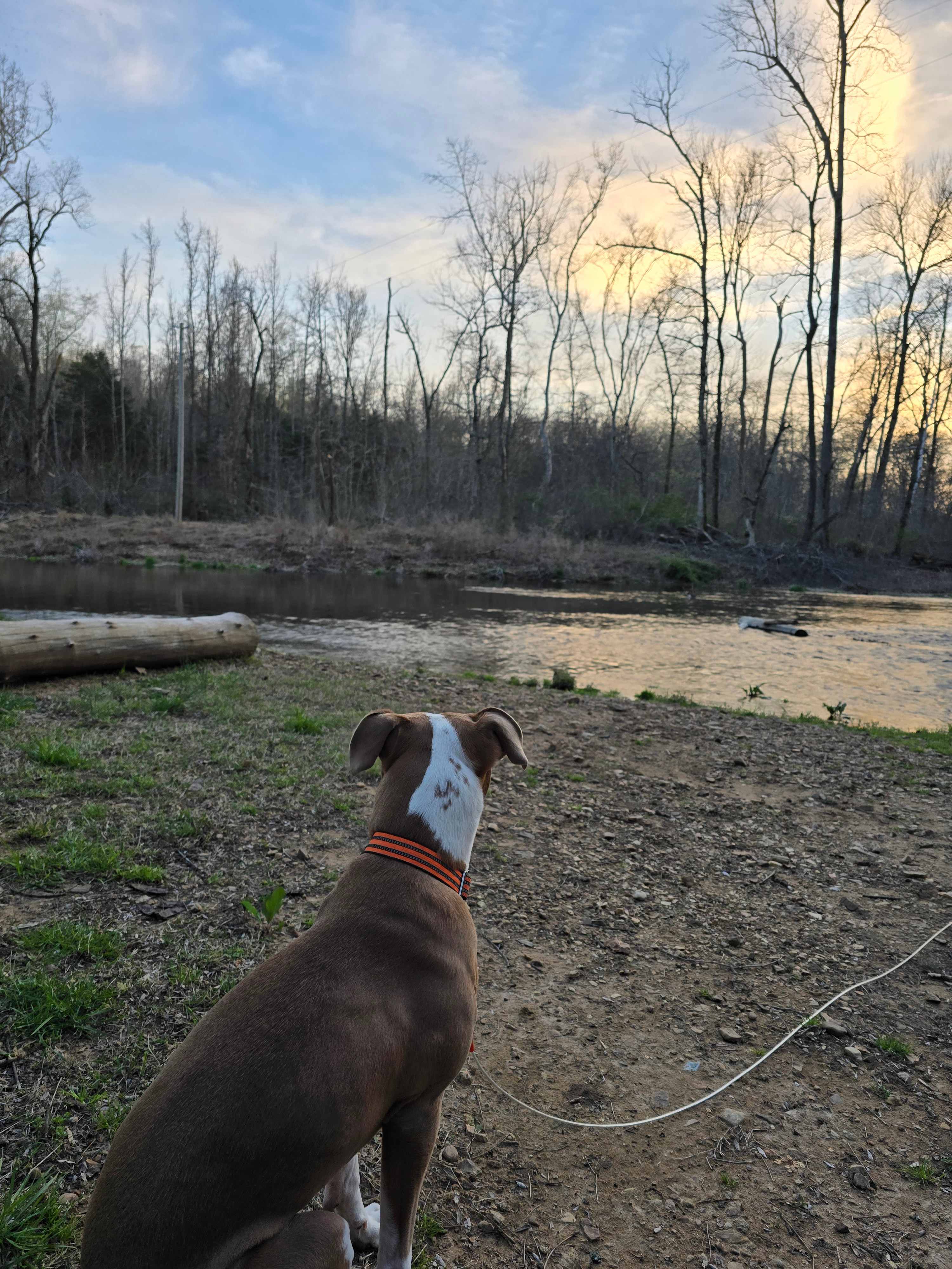 The Bluffs At Tumbling Creek