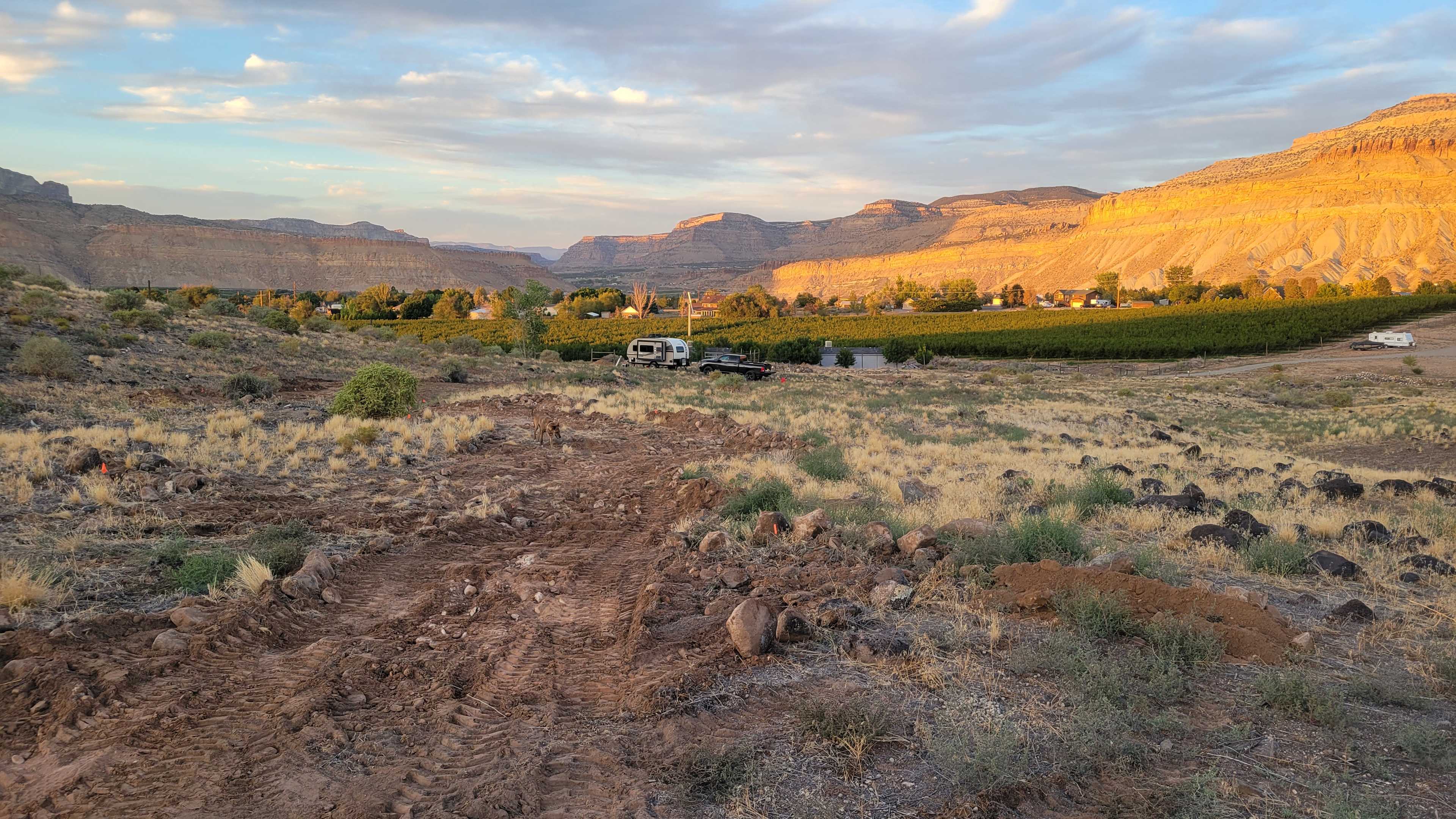 Picture of the site