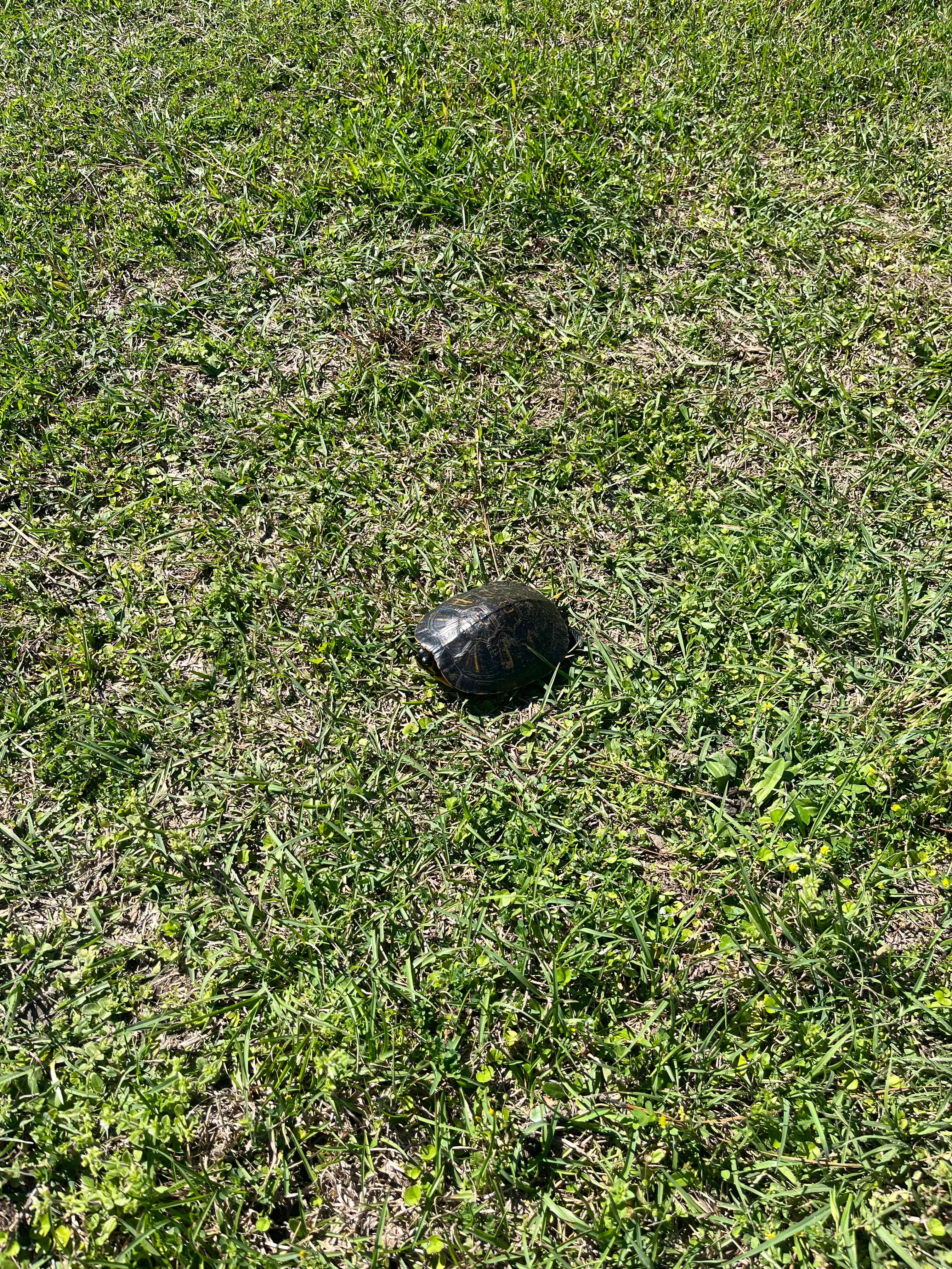 Dead Lakes RV Park and Campground