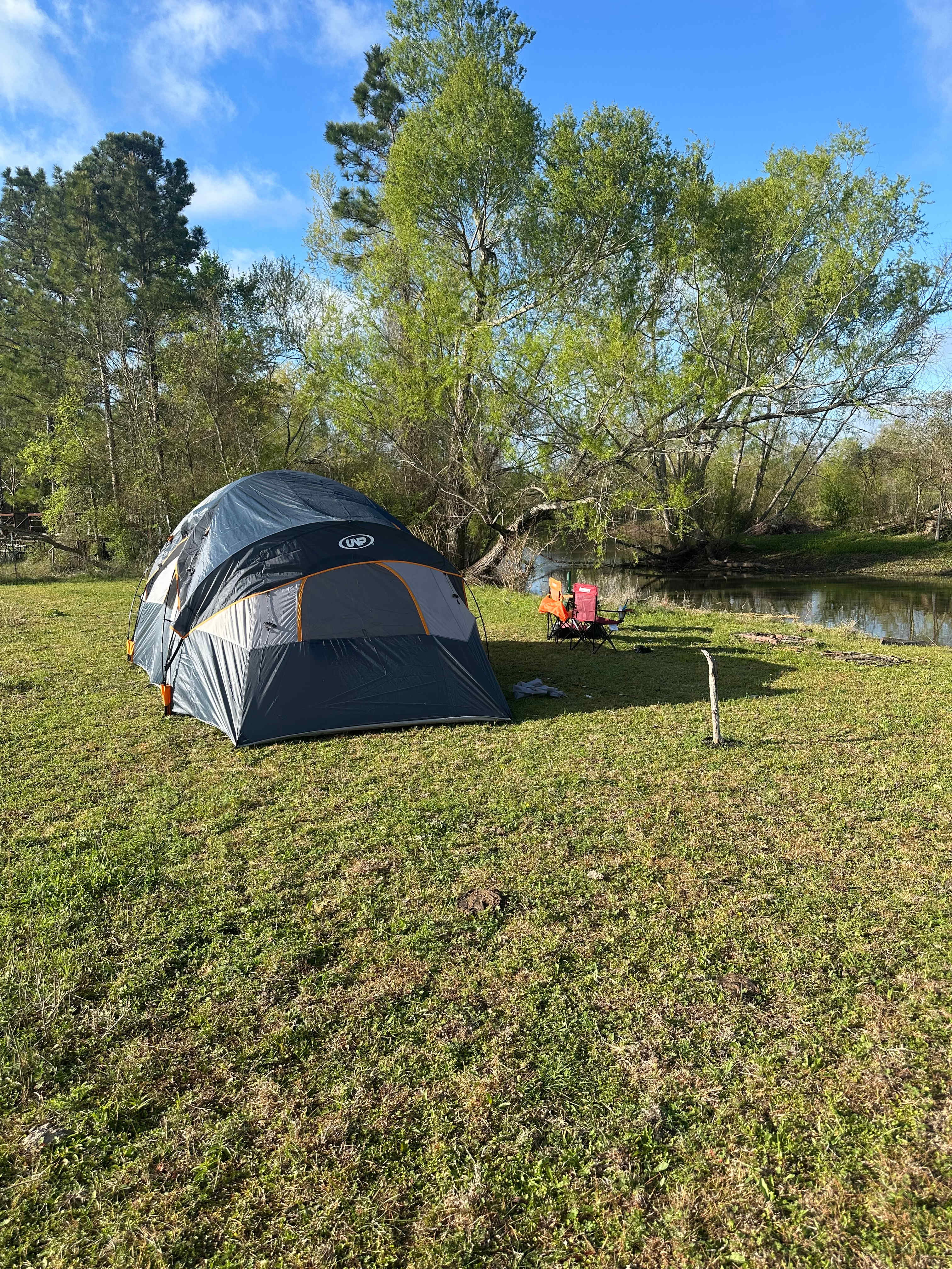 Daytime site 