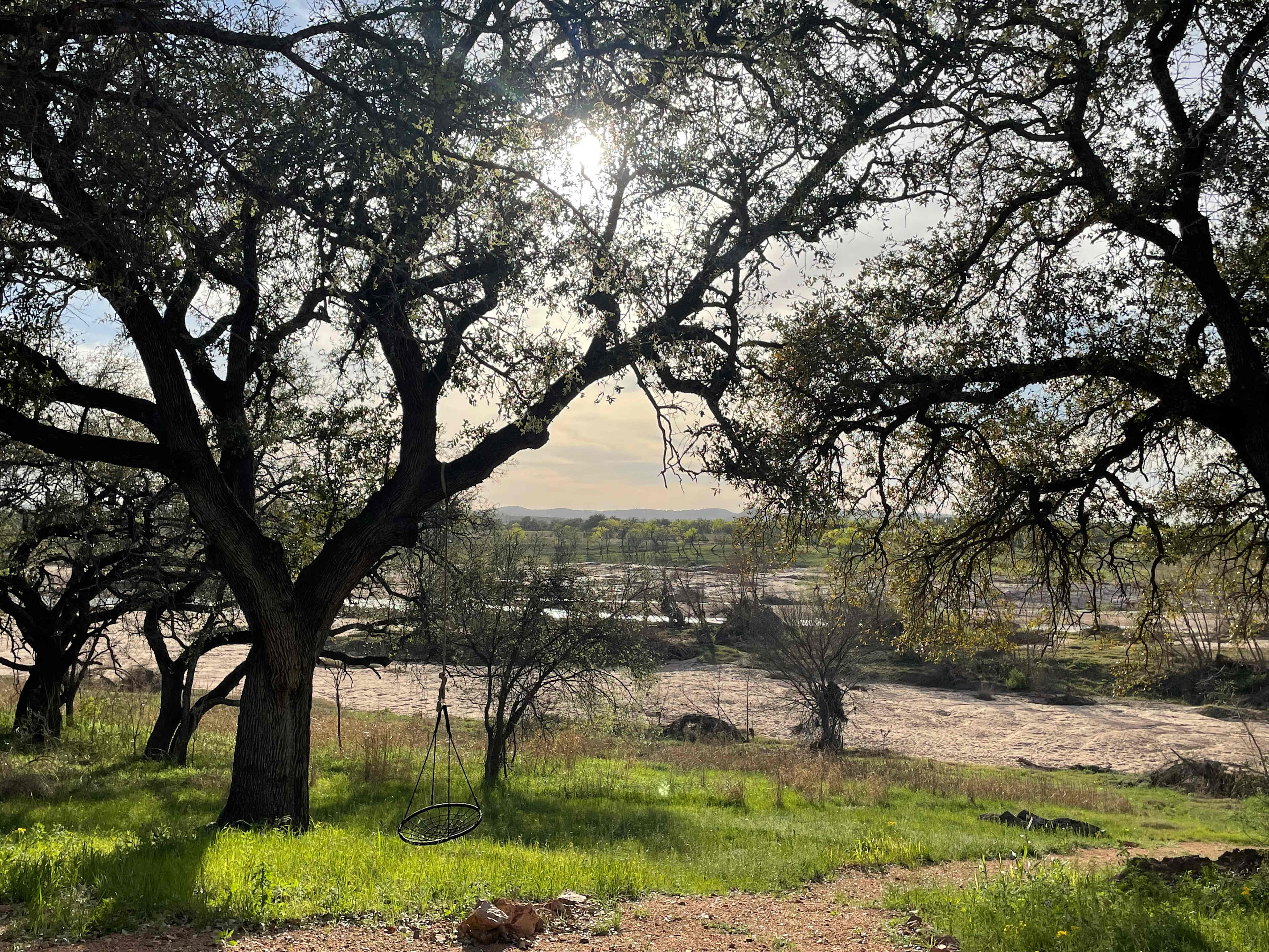 The Cozy Cacti Container