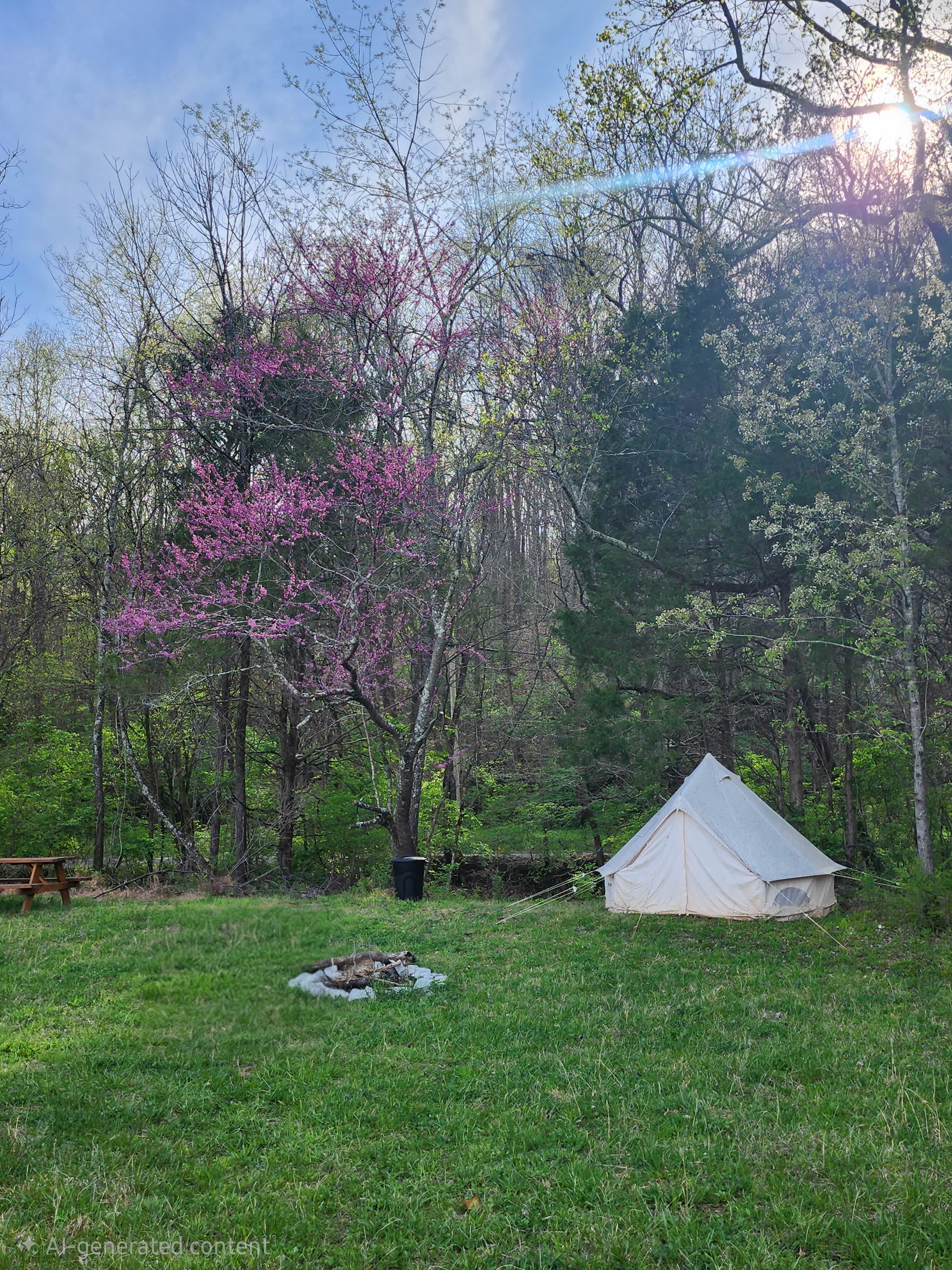 Picture of the site