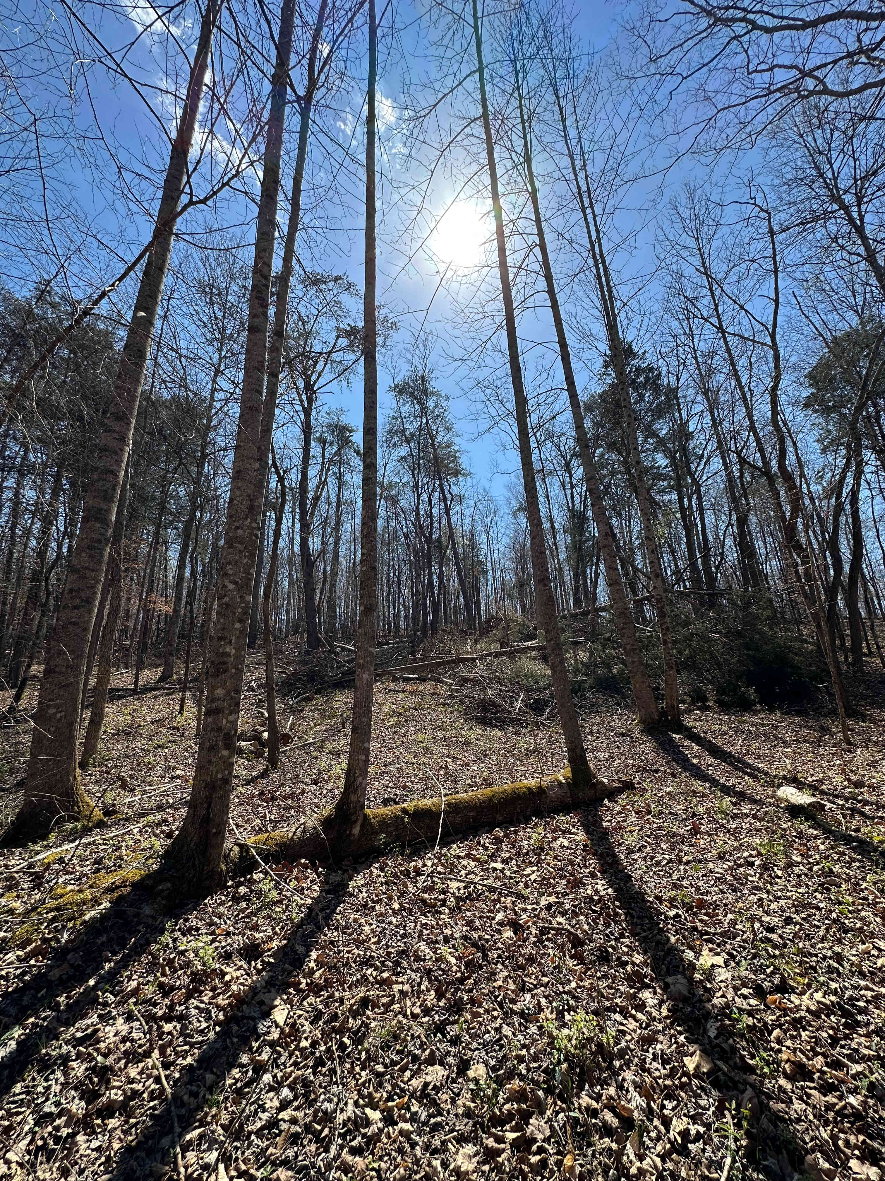 Lionsgate Campground