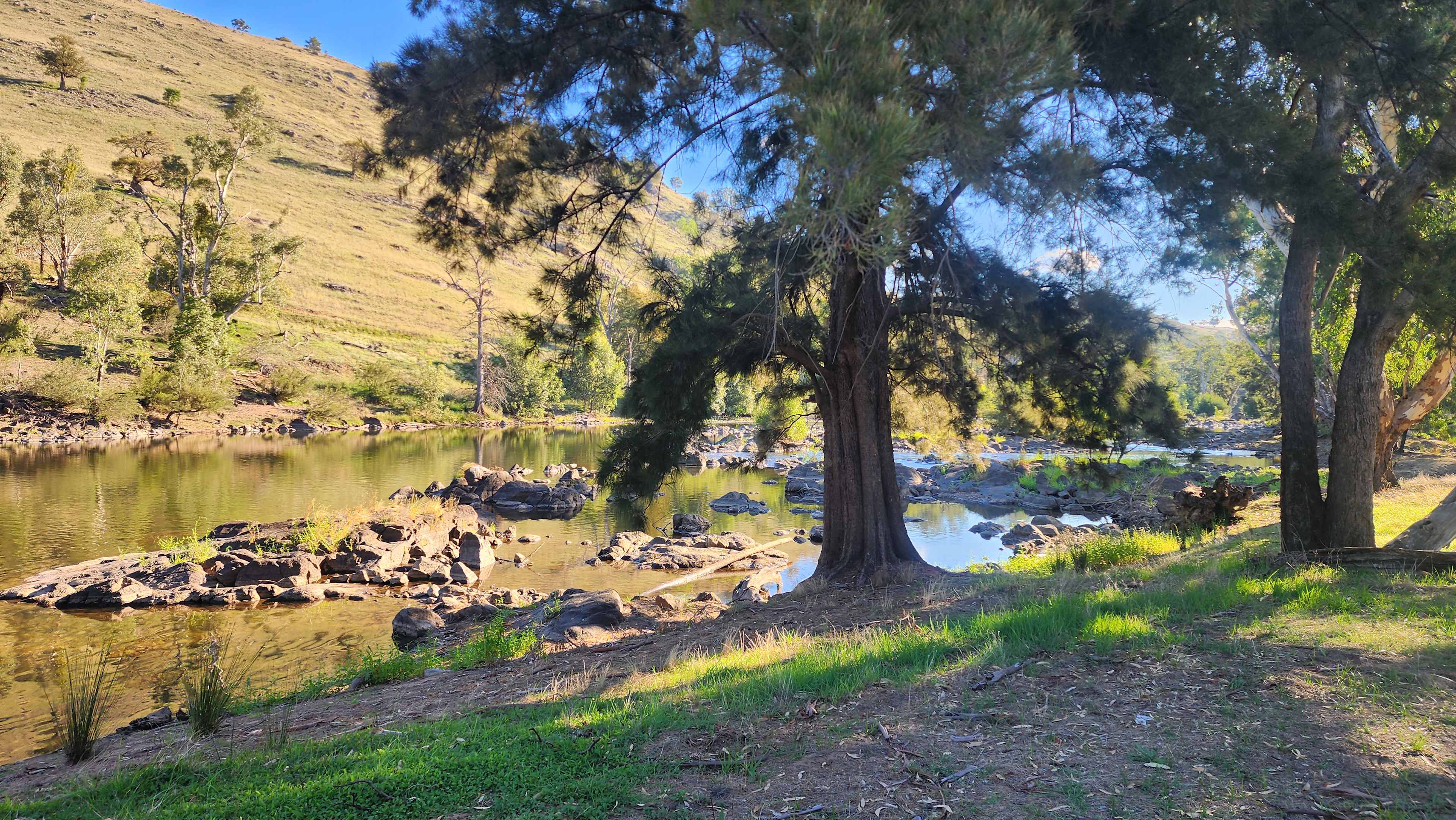 Jarabin on the Murrumbidgee