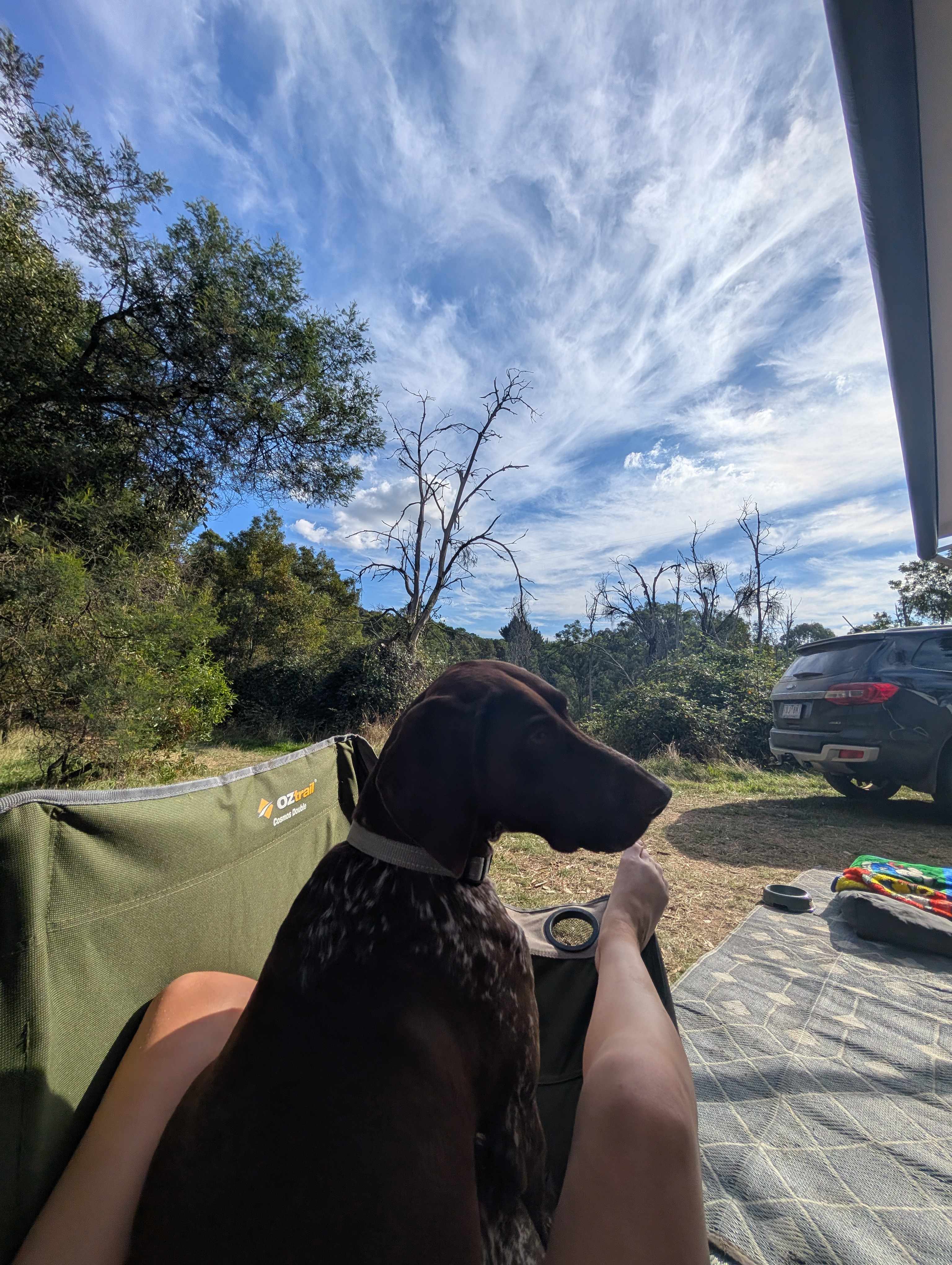 Reedy Creek Camping