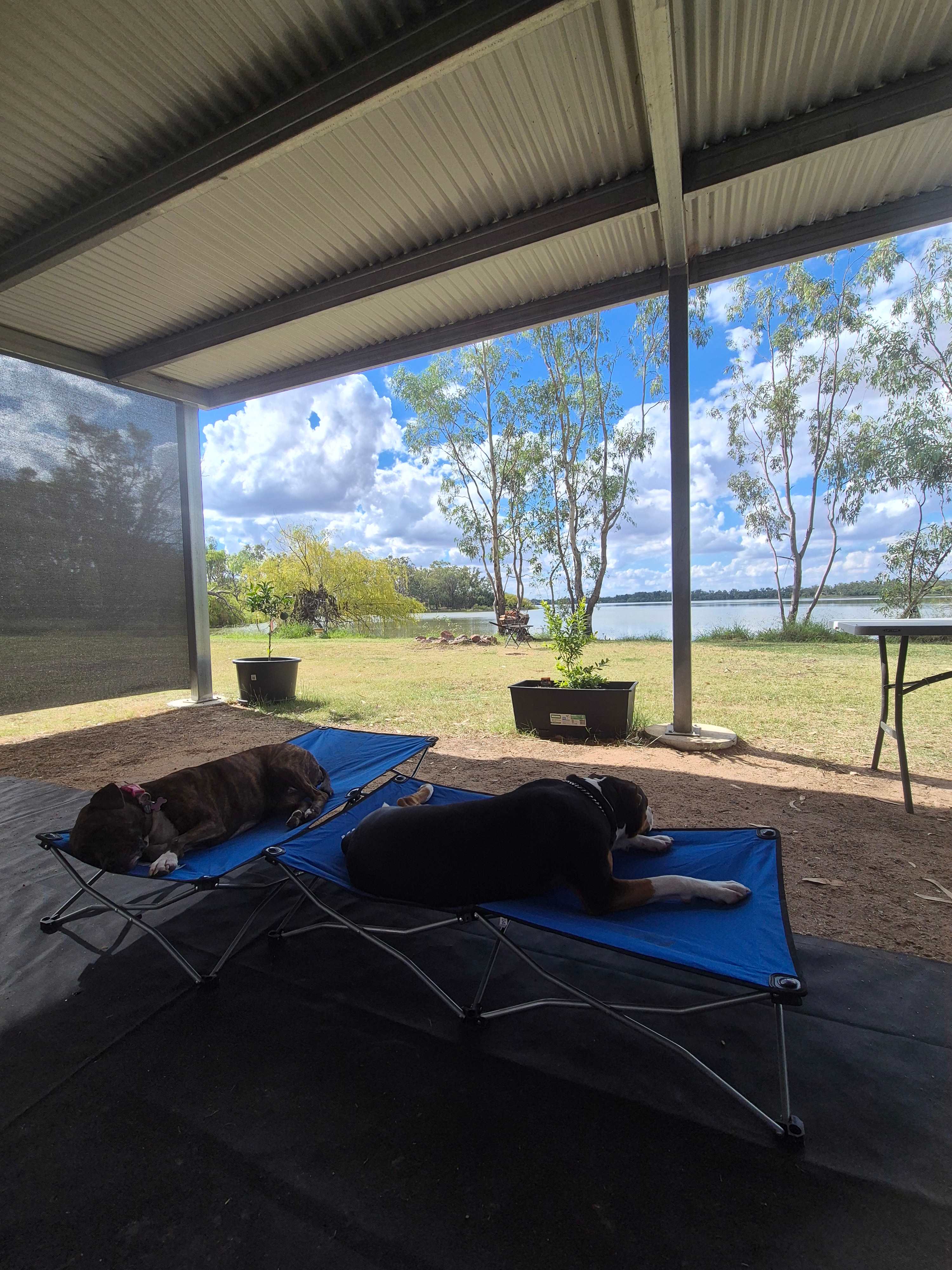 Curlew Camp - Birds & Fishing