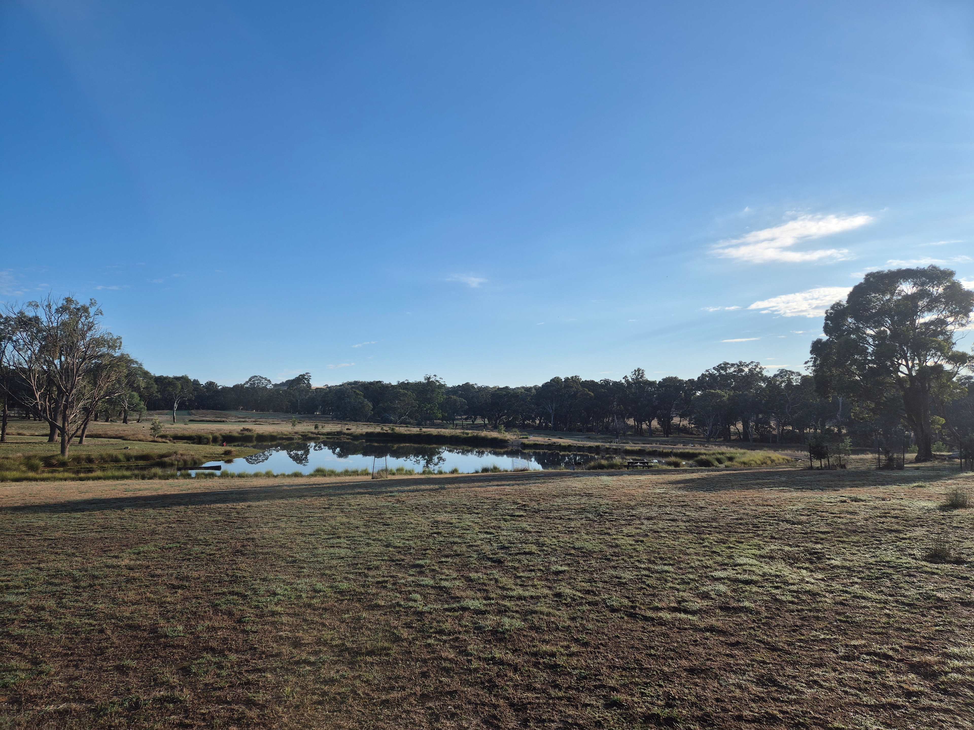Country Journey, Boxgrove farm