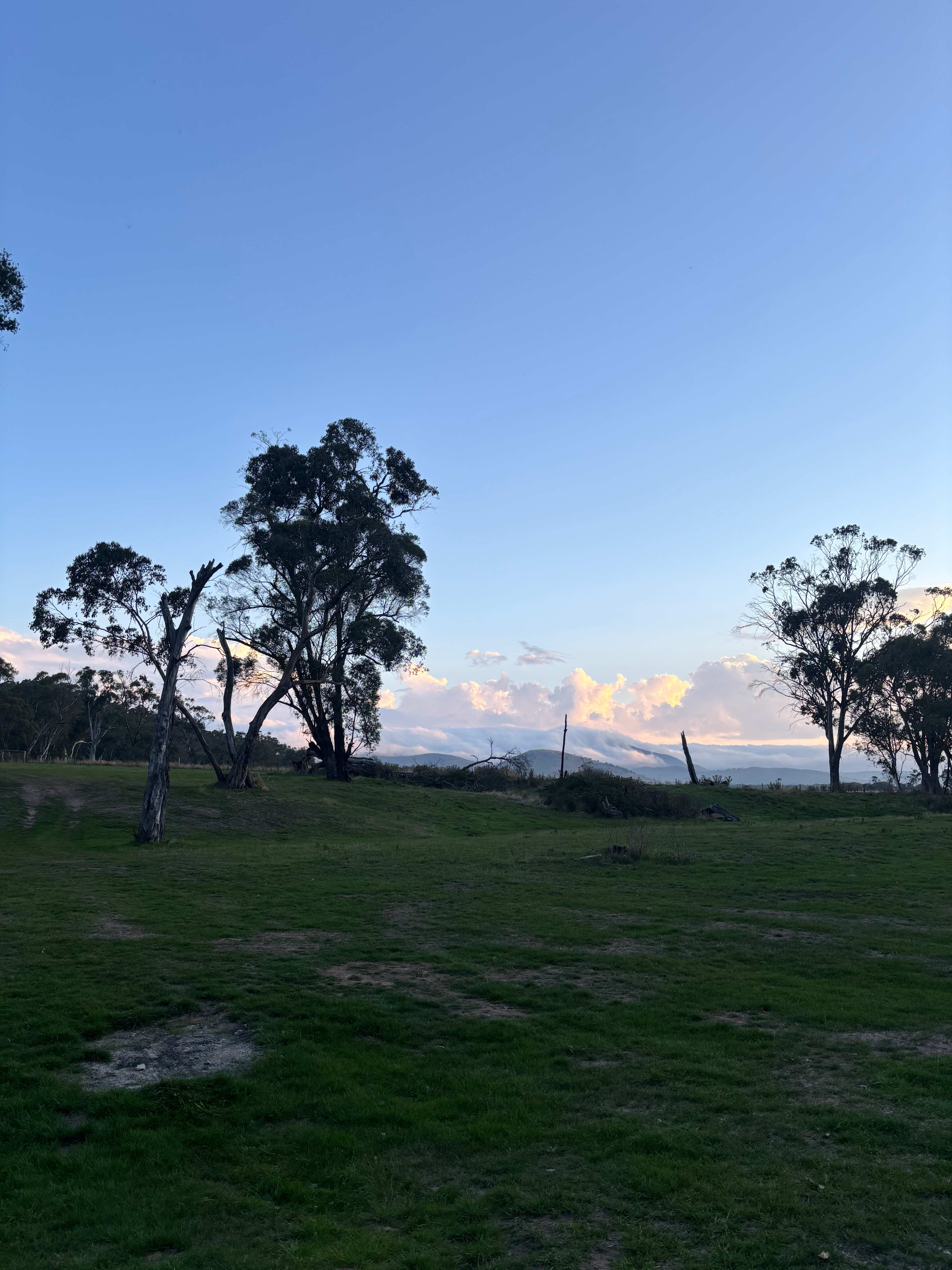 Aroona Park