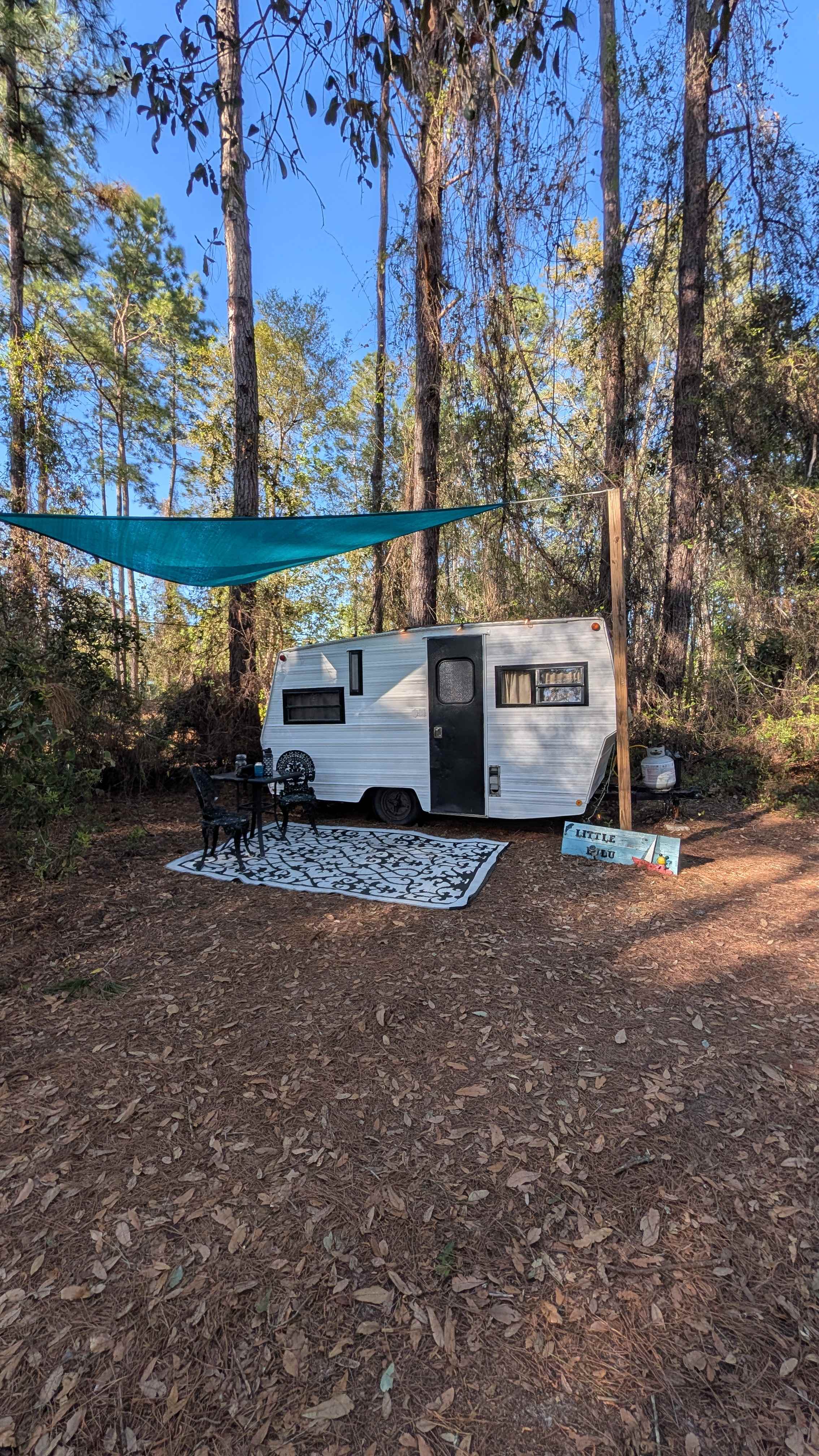 Serene Forested Blueberry Farm