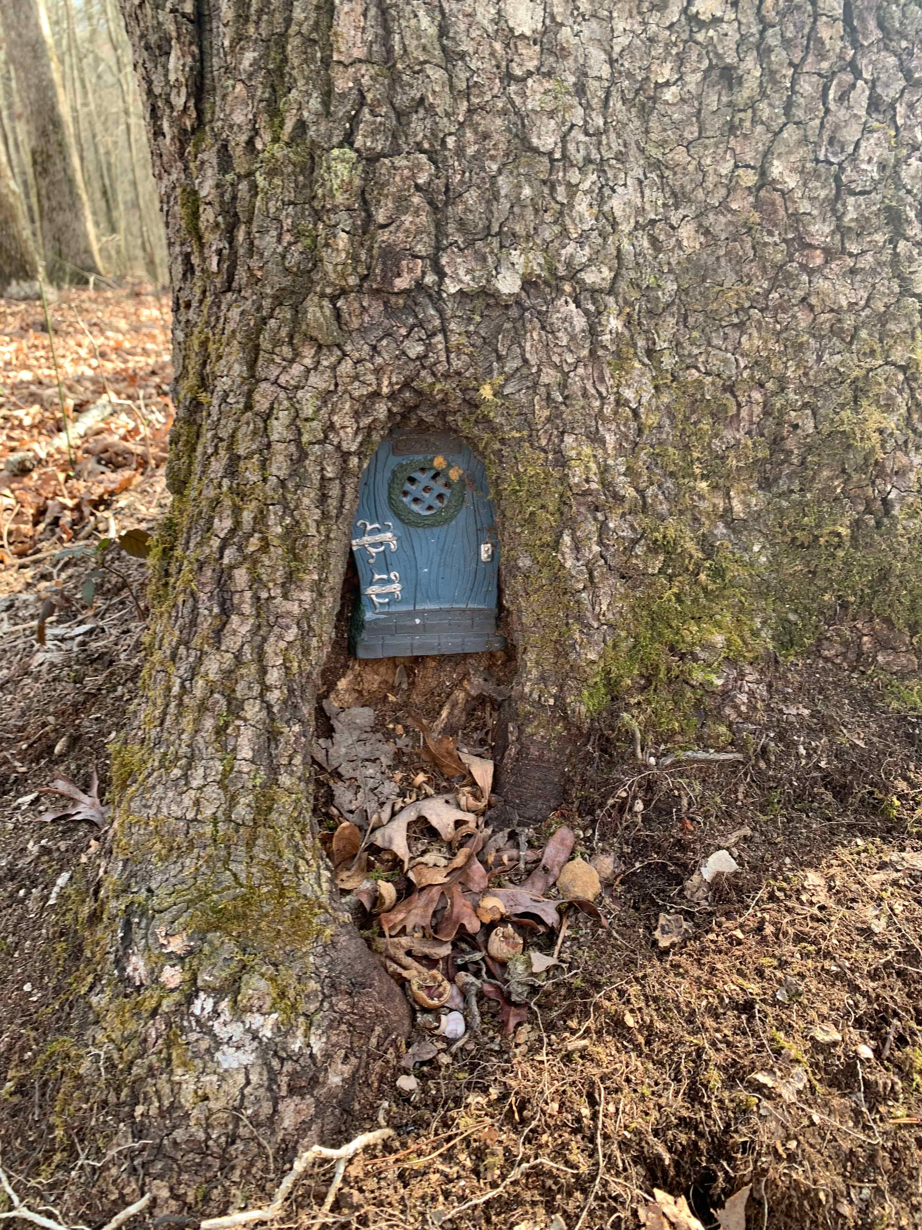 The Falls at Sewanee Creek