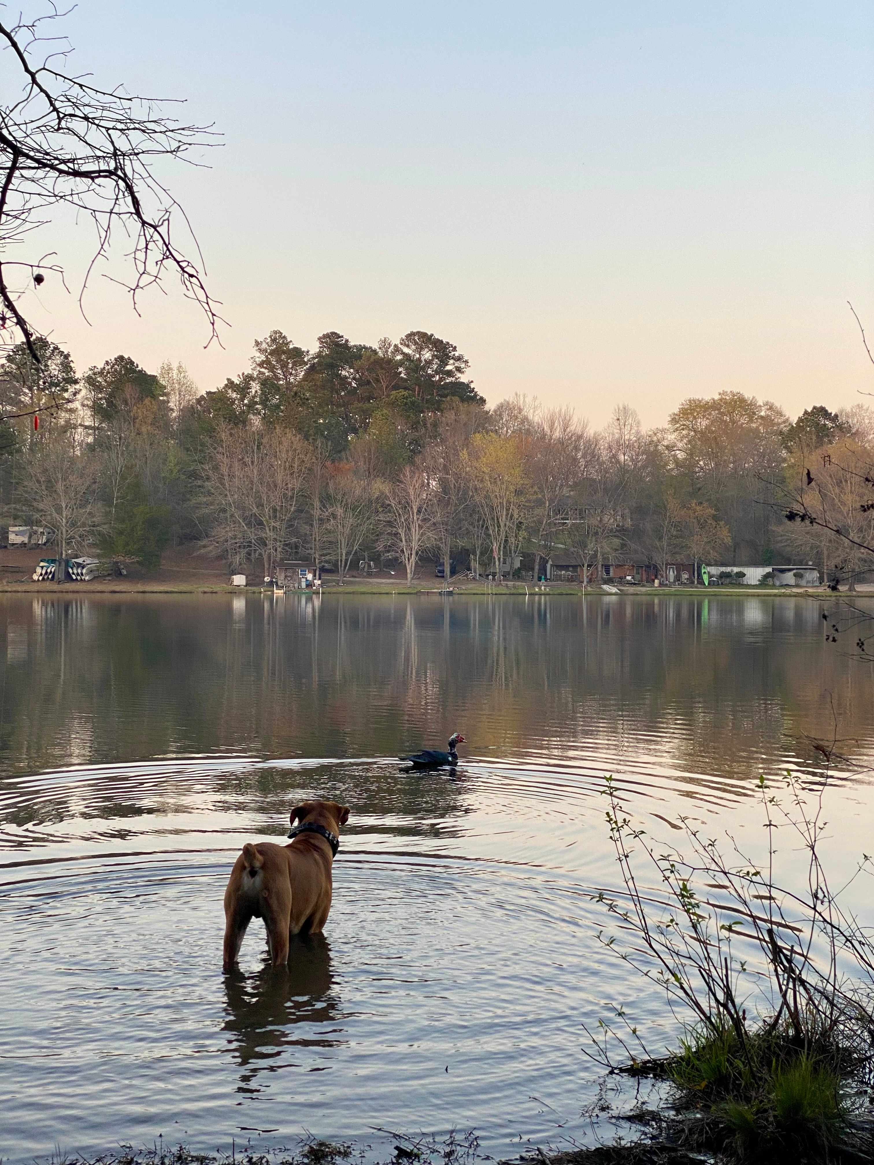 Brooks Lake, A Peace of Heaven