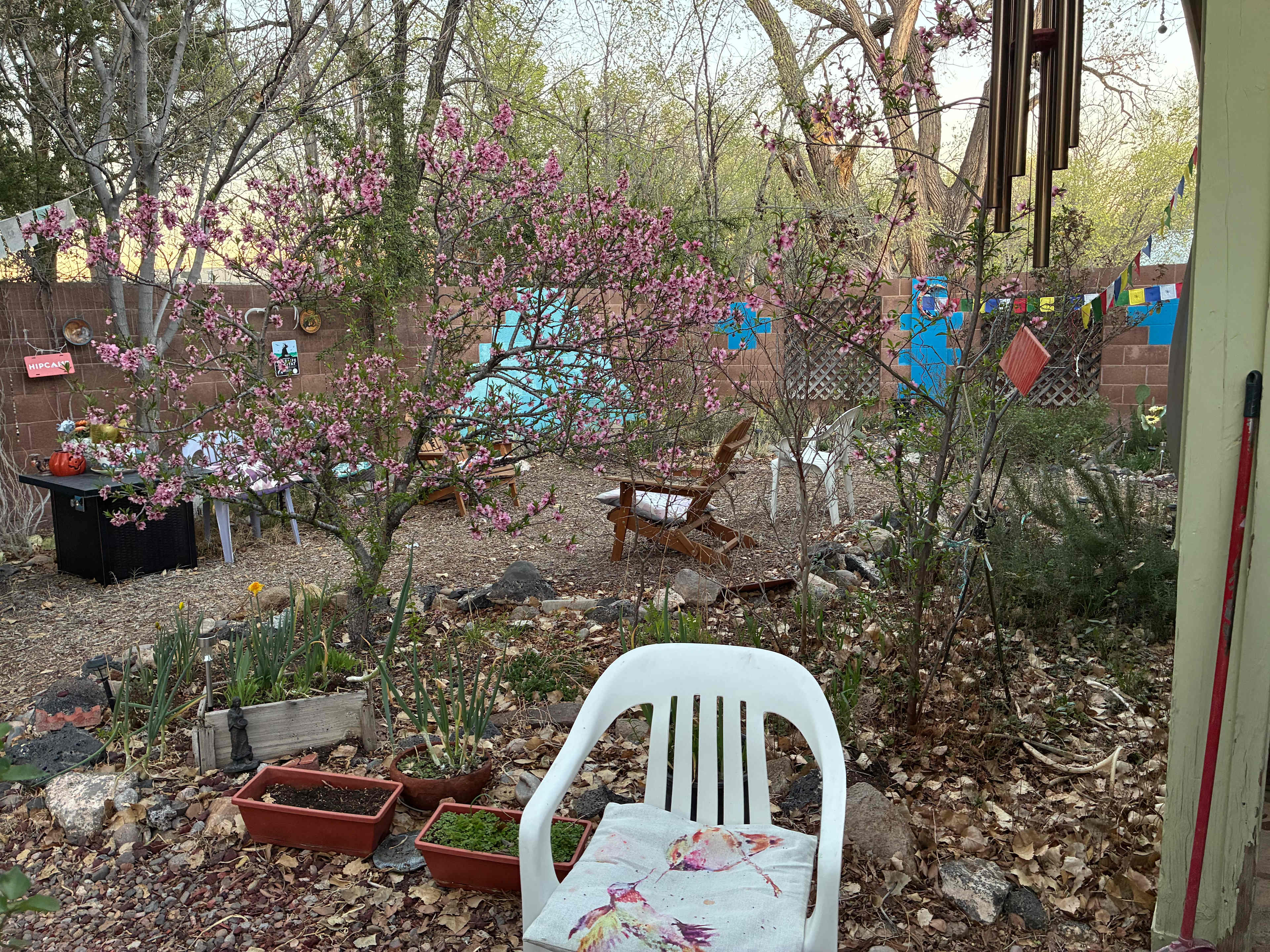 Healing on the Rio Grande !