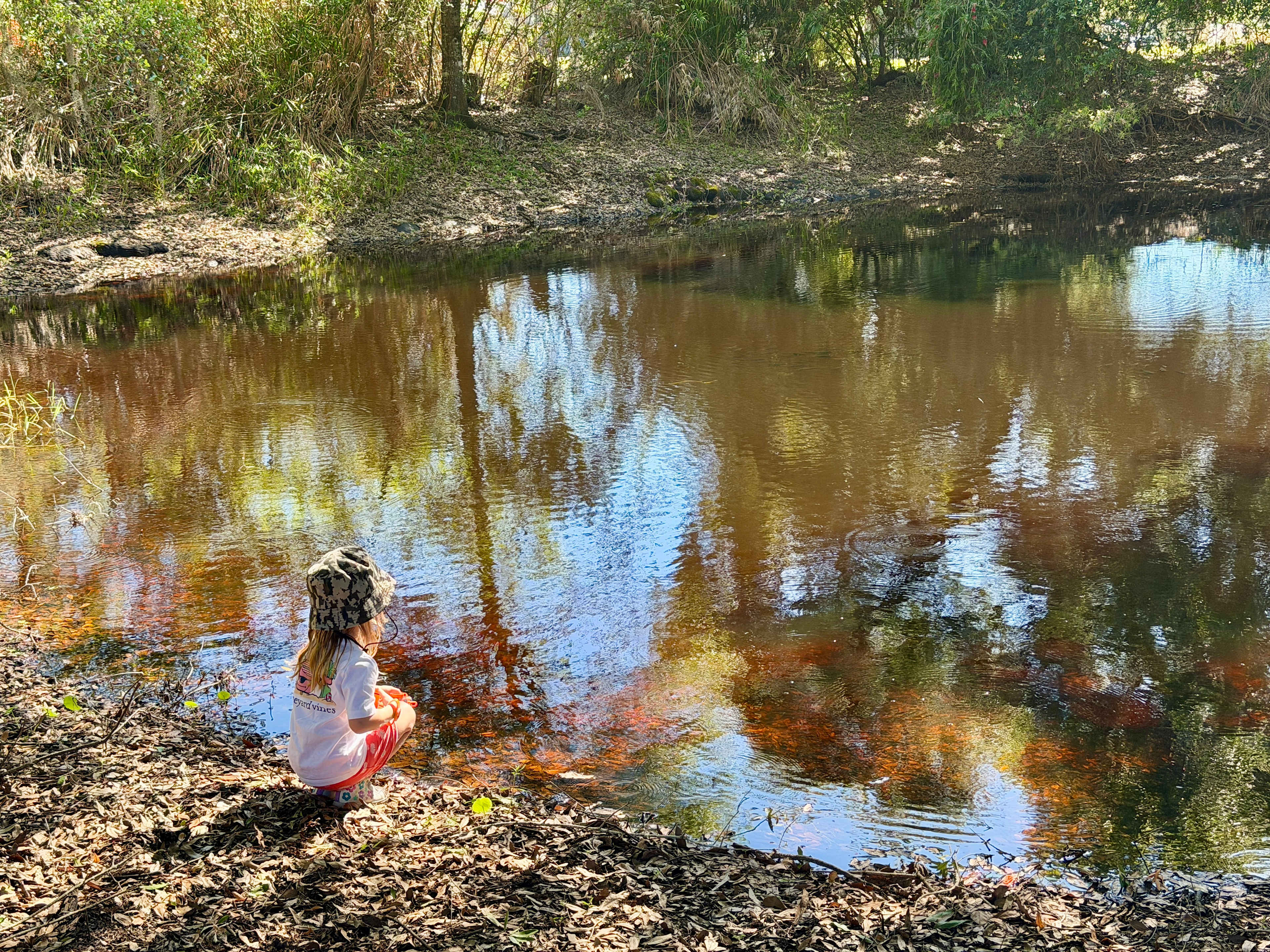 Magical Pond On Flitterbug Farm