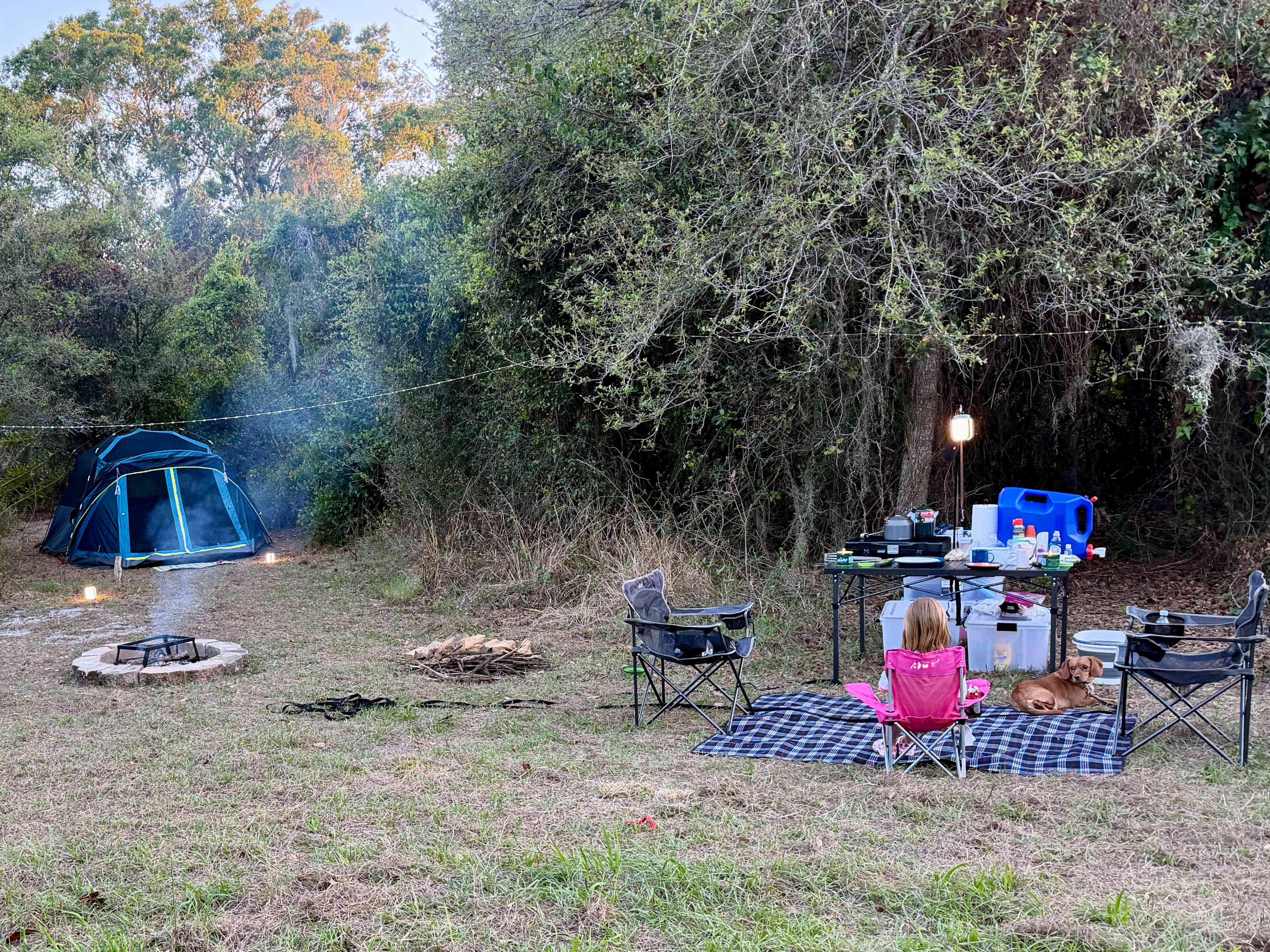 Picture of the site