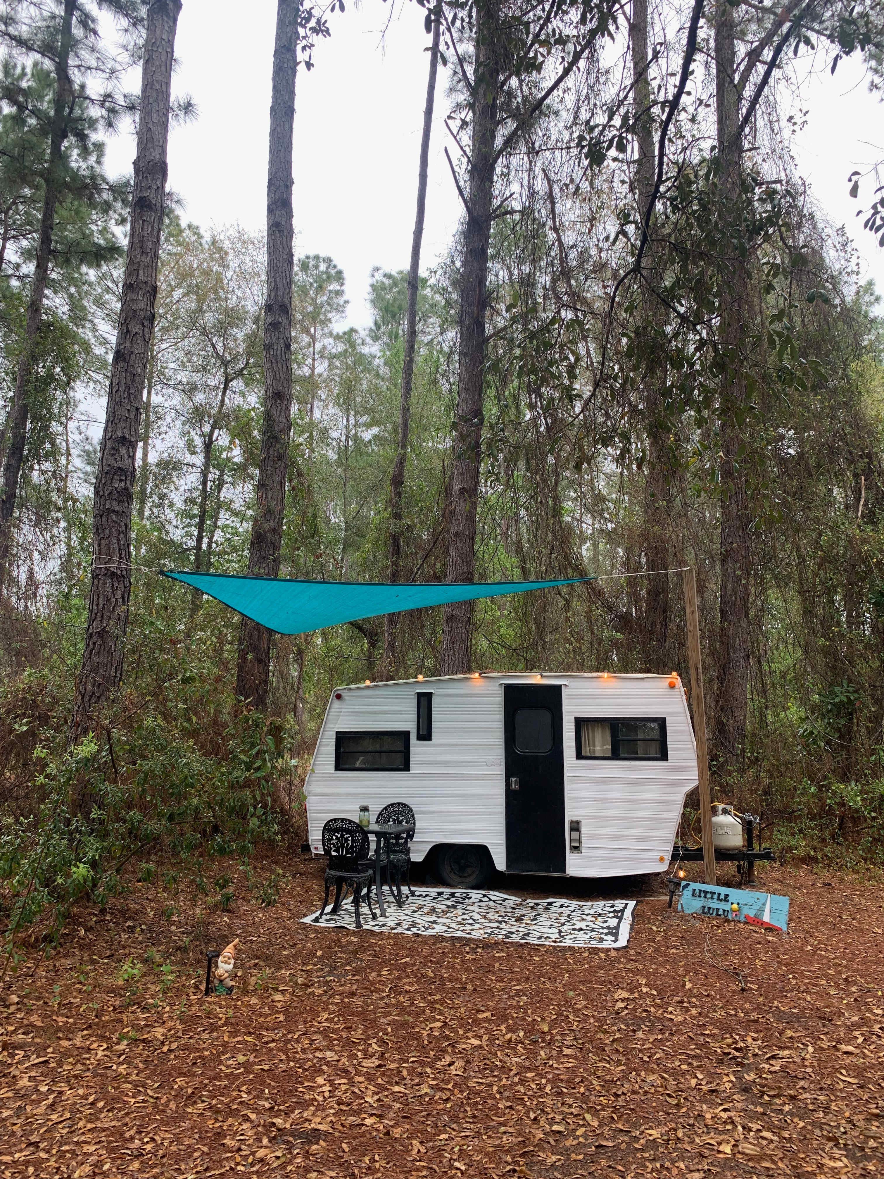 Serene Forested Blueberry Farm