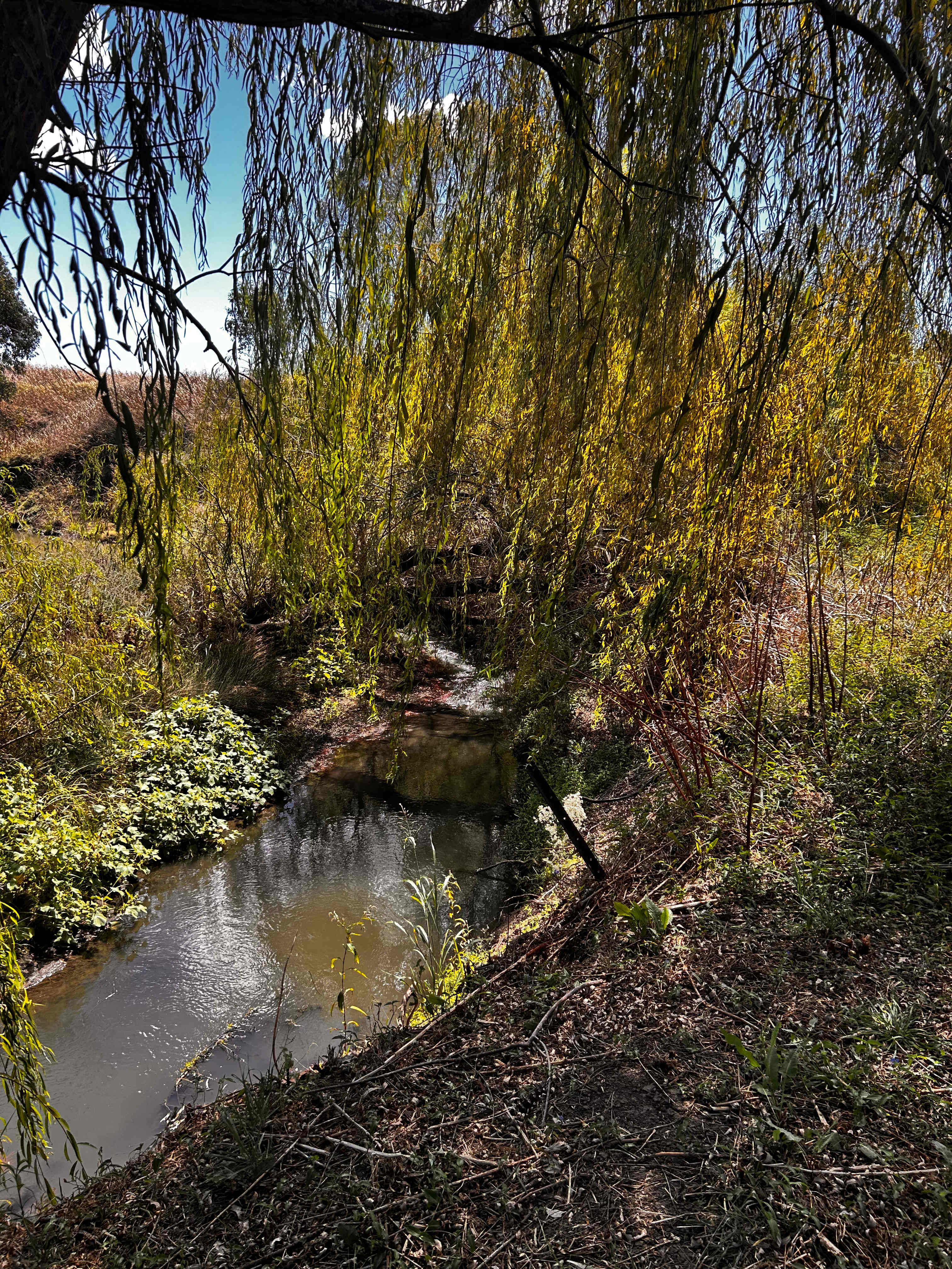 Warrego Farm