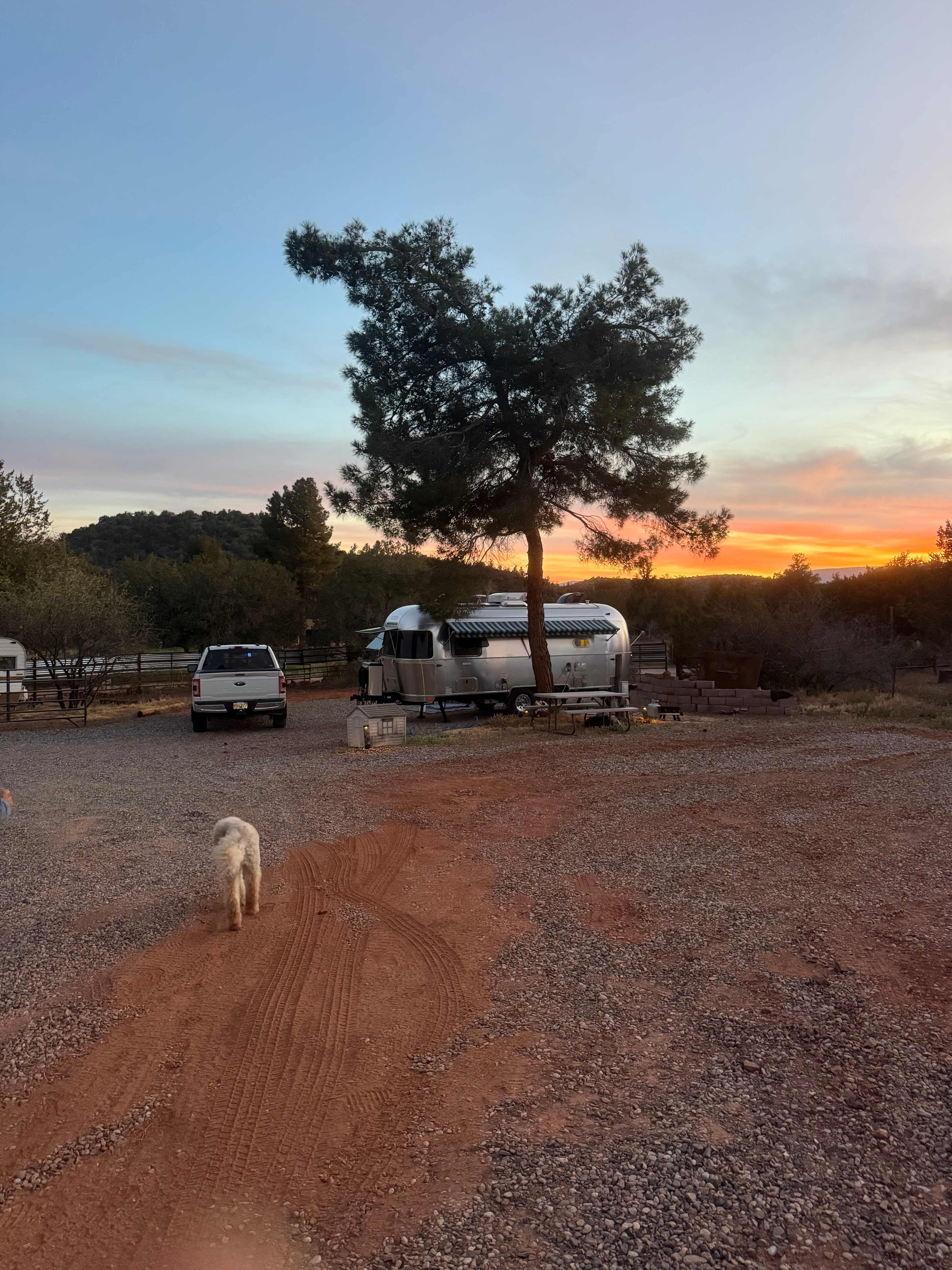 Red Rock Camp Horses Welcome