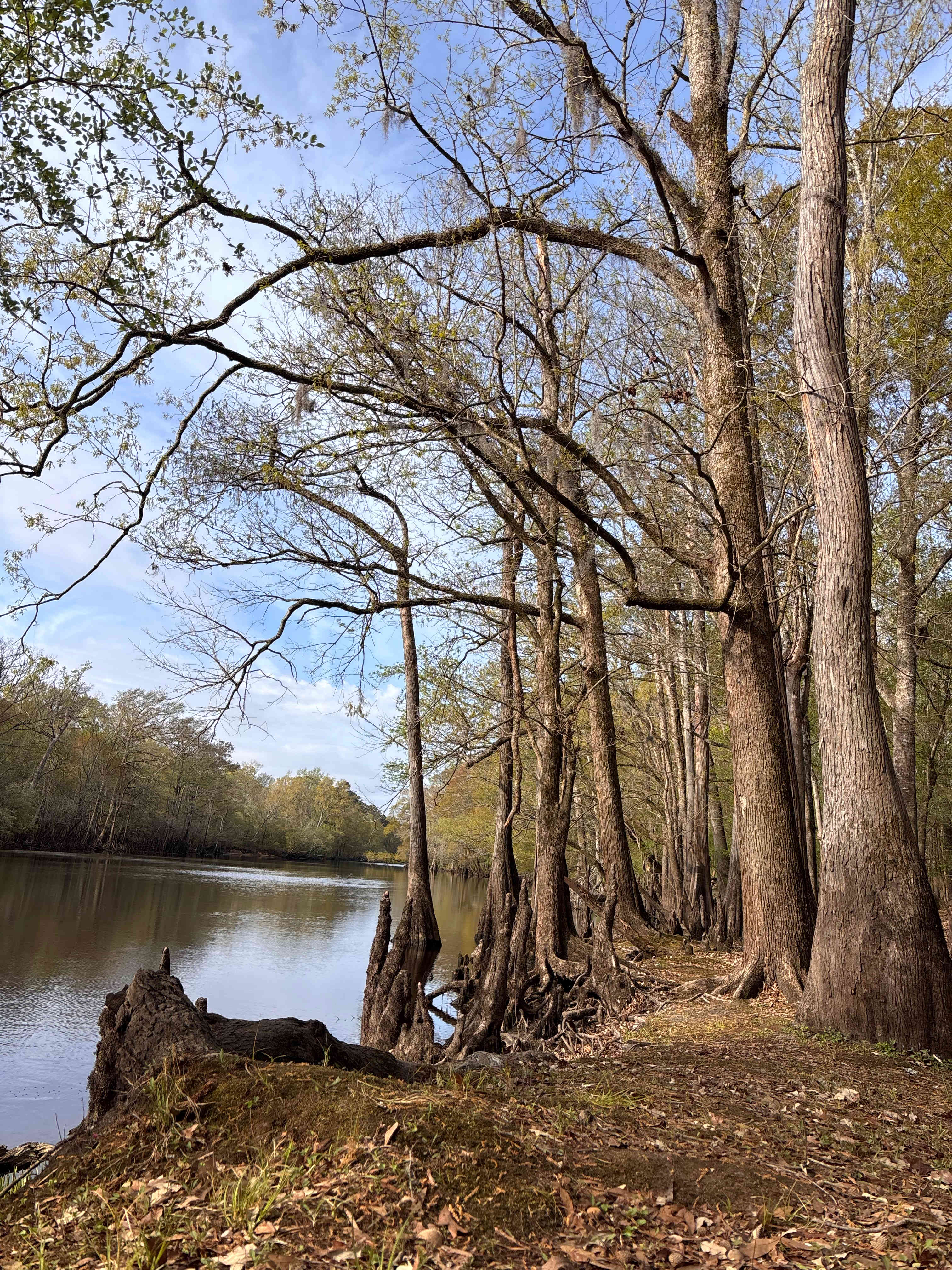 Black River Camping Ventures