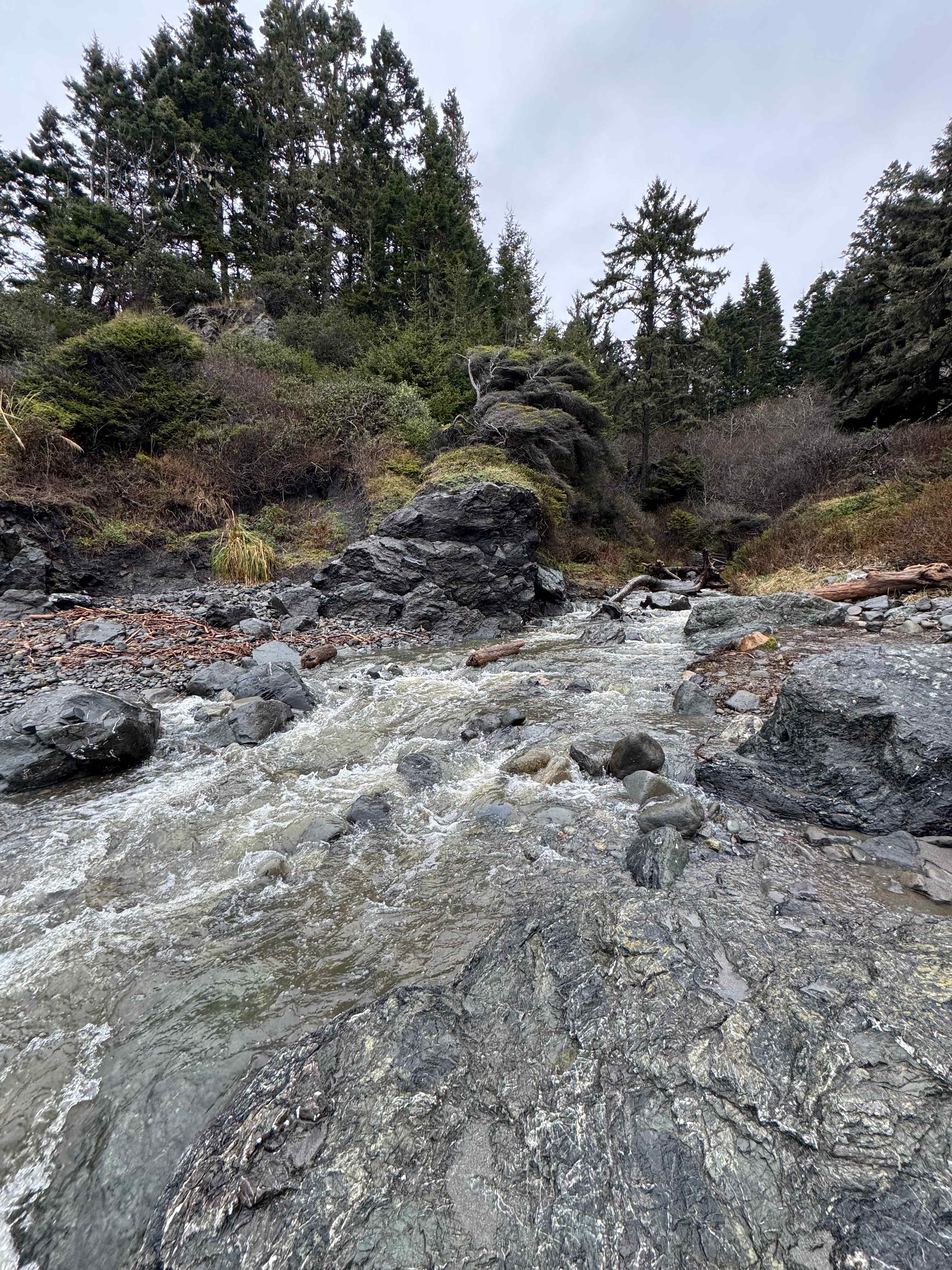 Bueno Mana Homestead