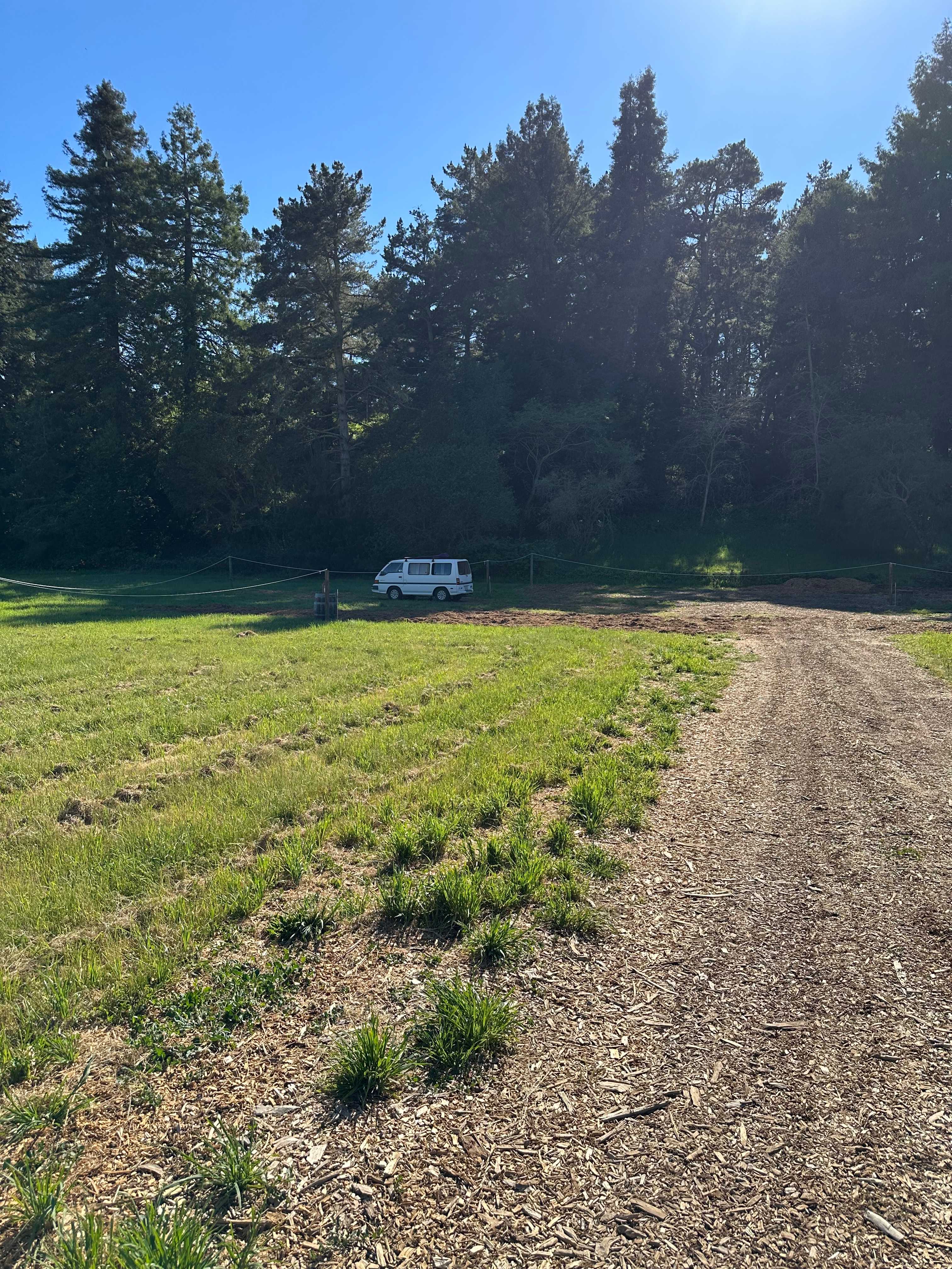 Country + Redwoods - Near beach!