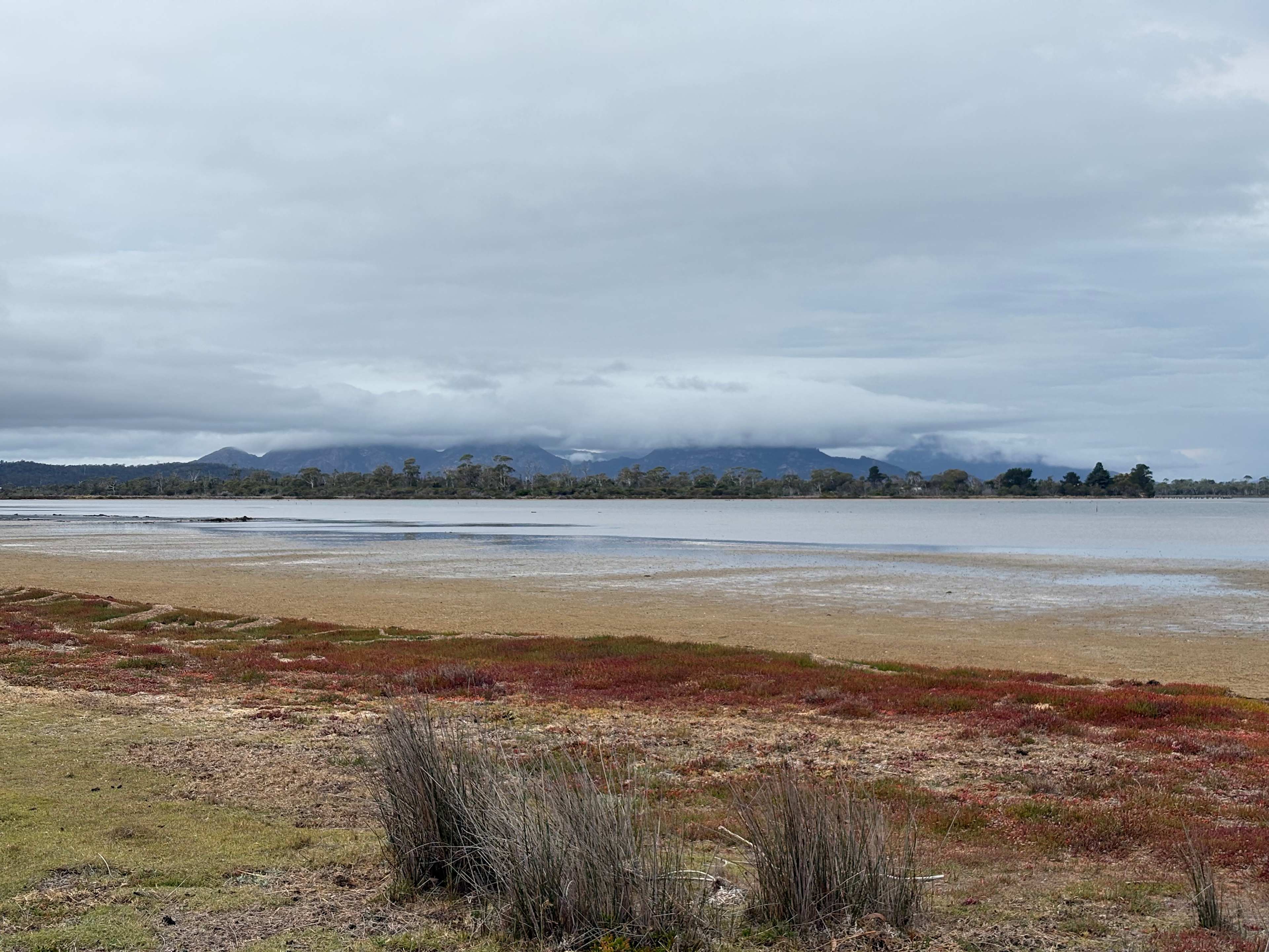 The lagoon