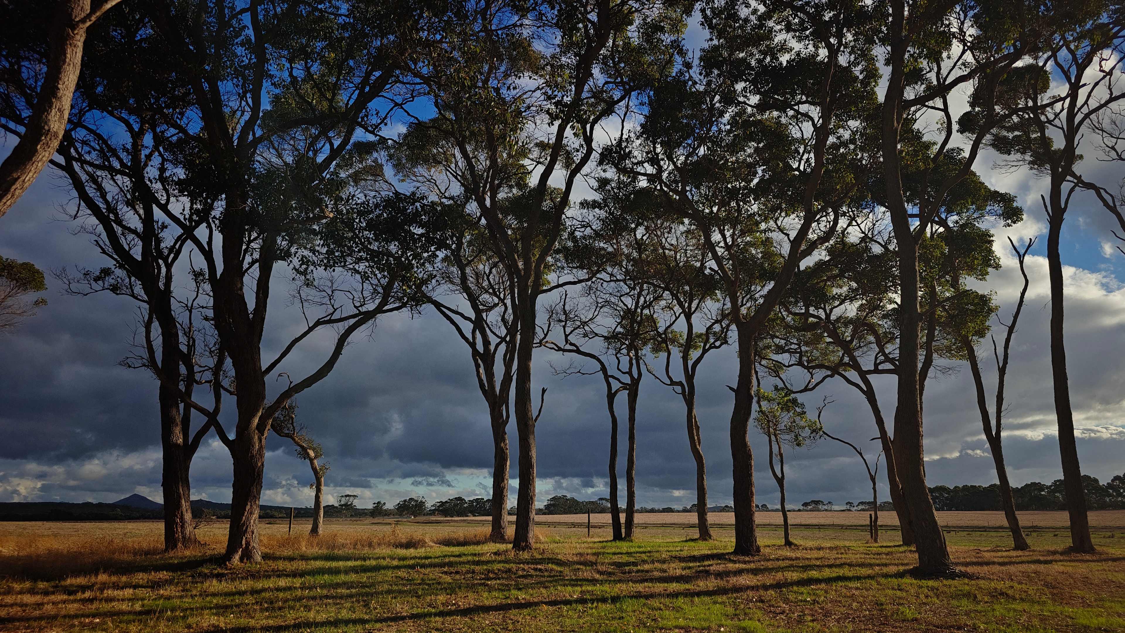 Little Burra Retreat