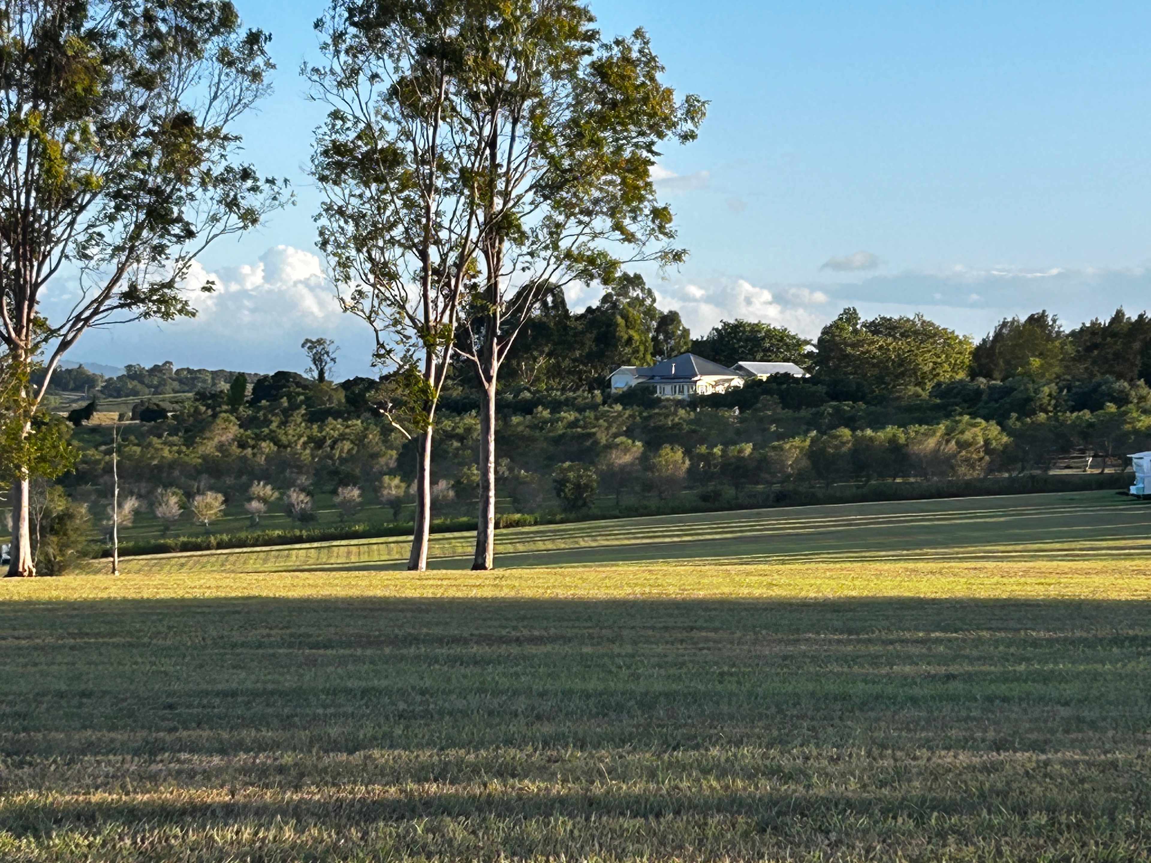 Olive View Estate - Stunning Views!