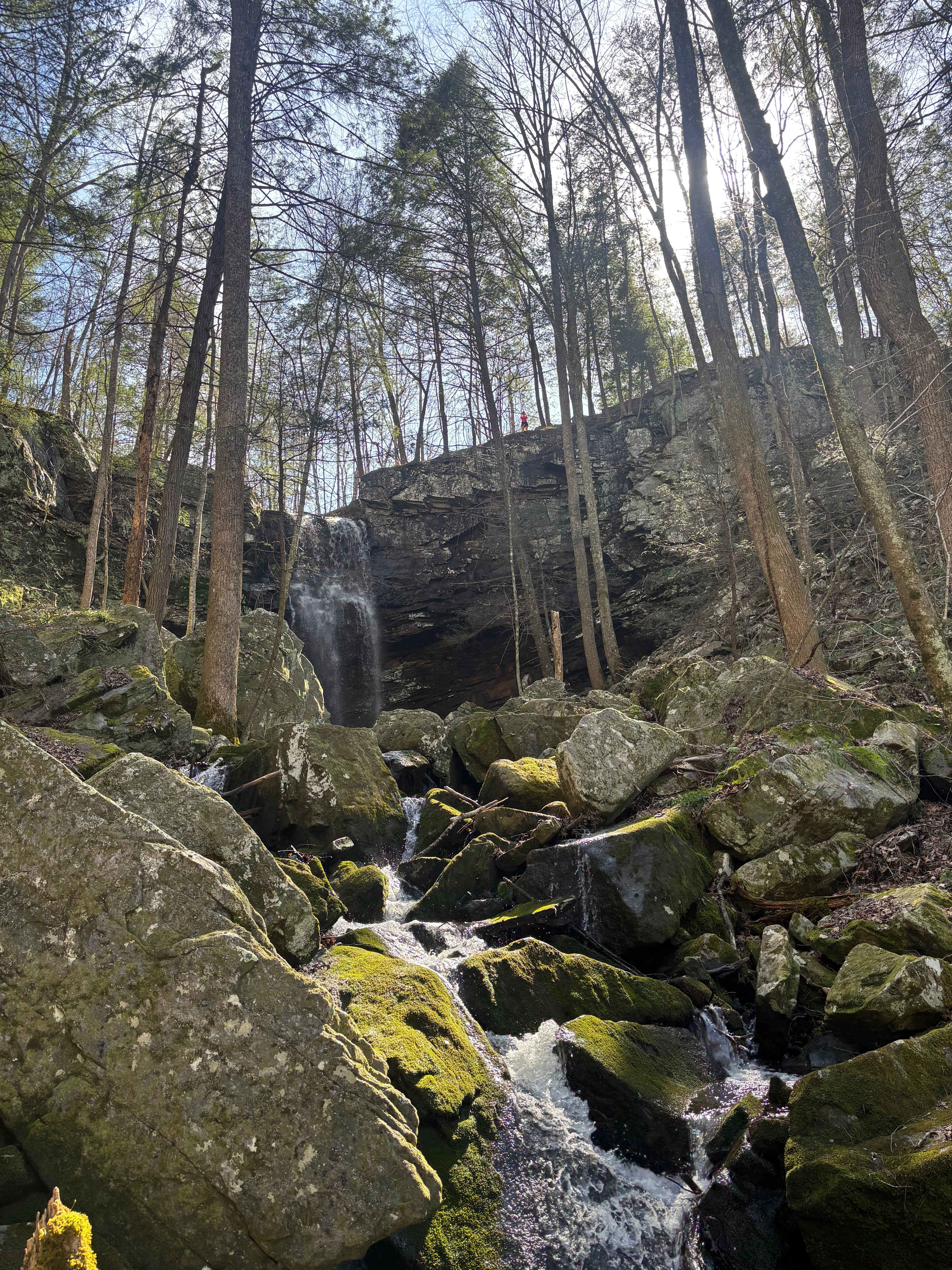 The Falls at Sewanee Creek