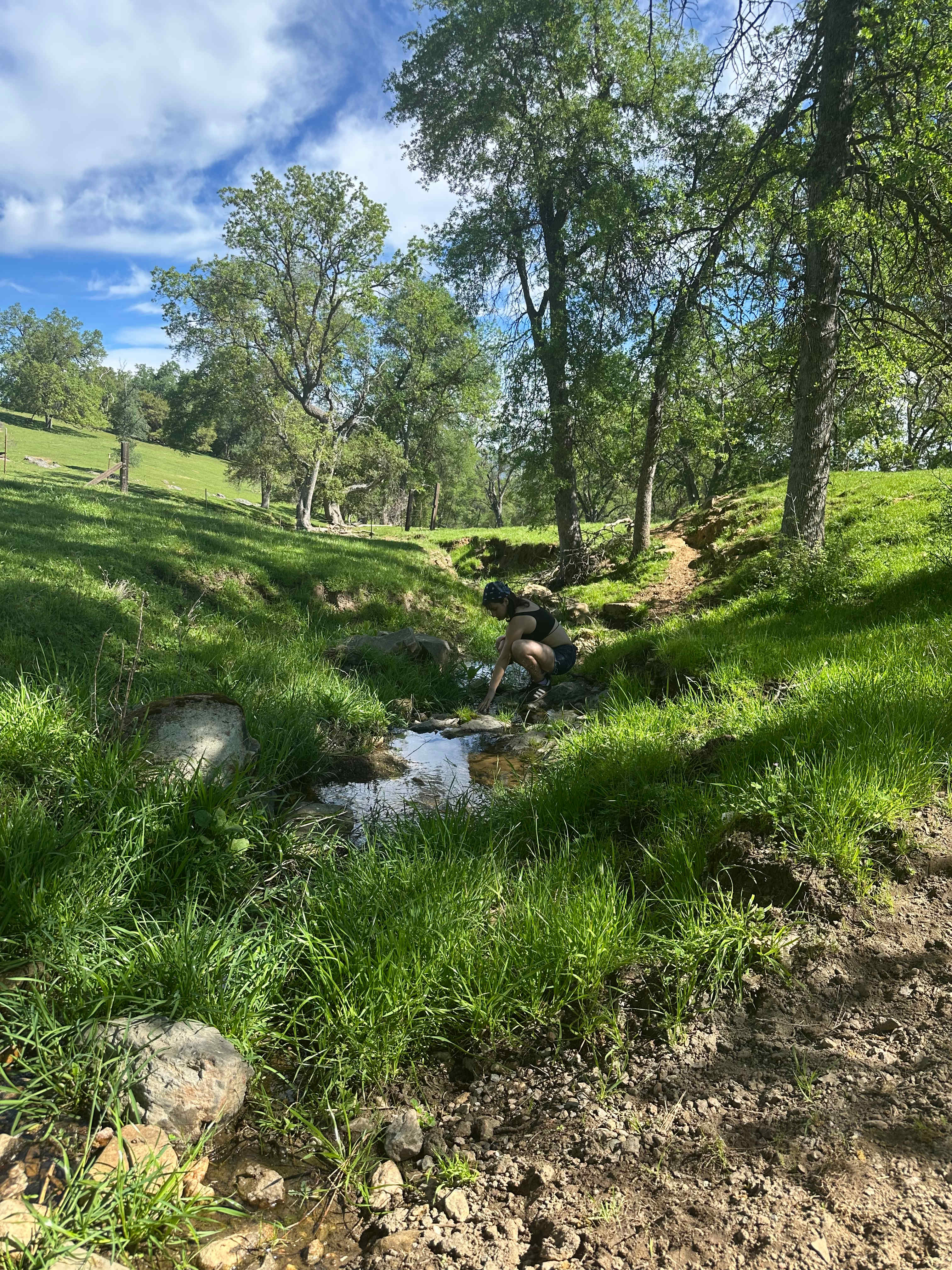 Diamond Gulch