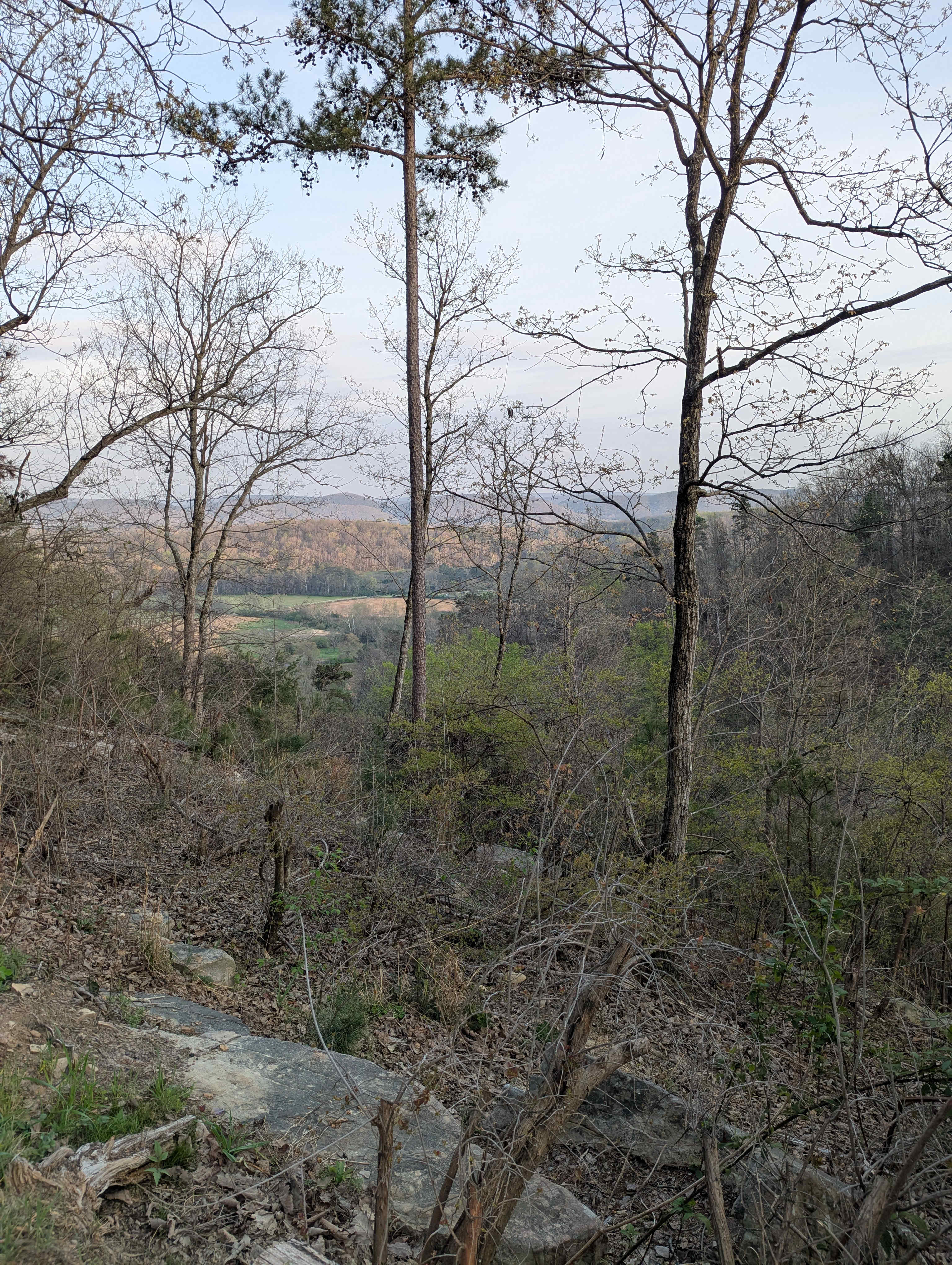 View from Bluebird firepit