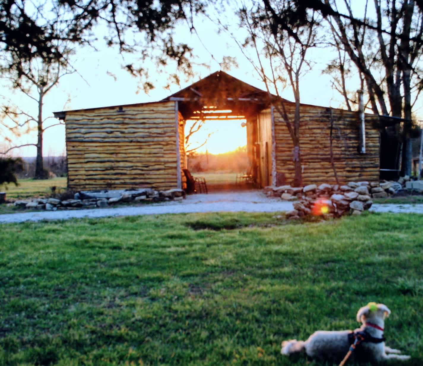 B Berry Farms & Co.